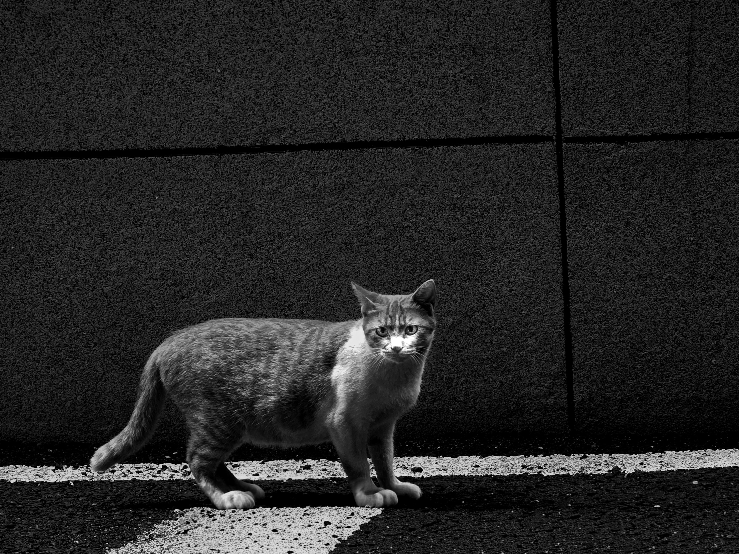 Selected Works. TAEYOUNG KANG | Fine Art Photographer