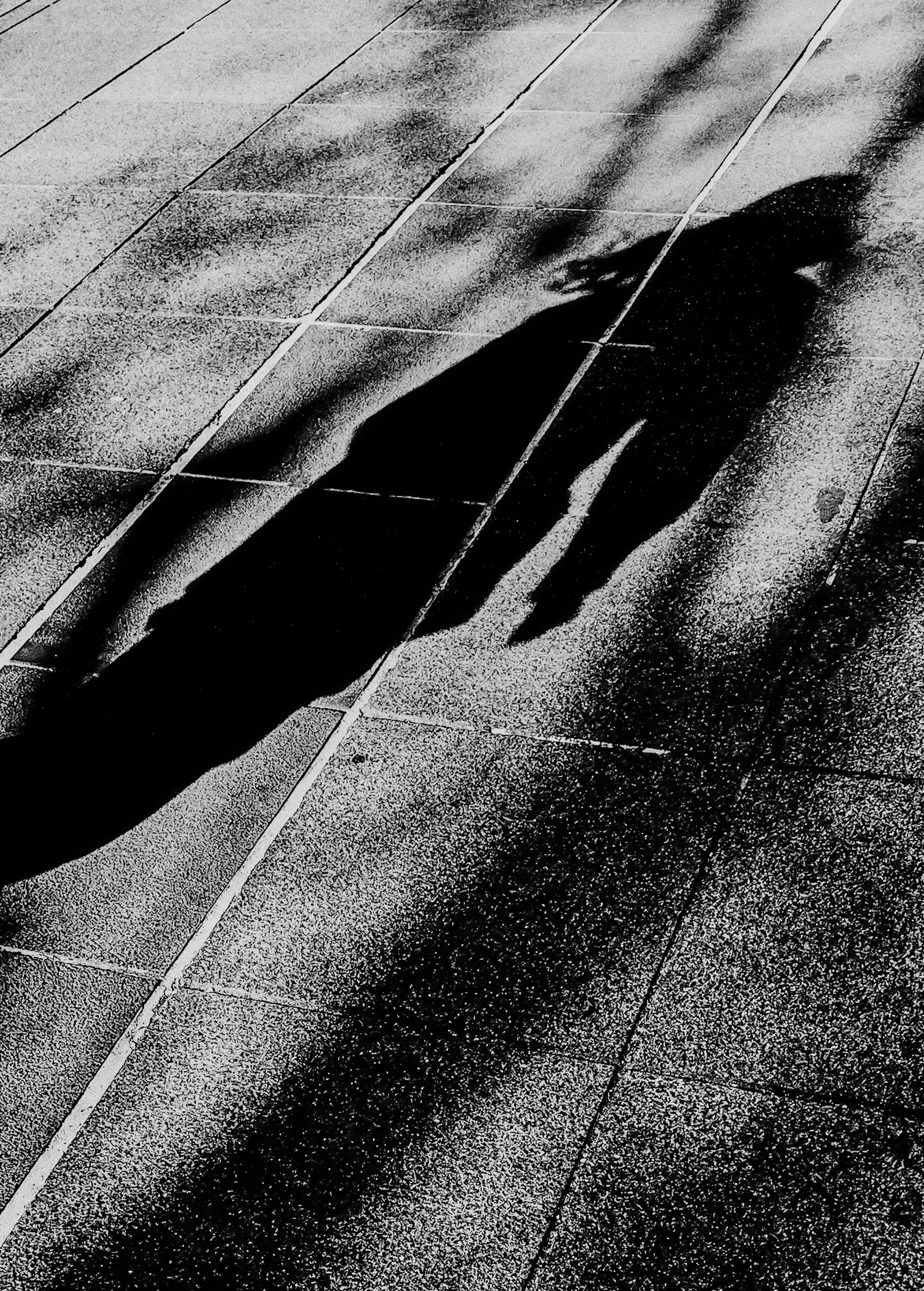 Selected Works. TAEYOUNG KANG | Fine Art Photographer