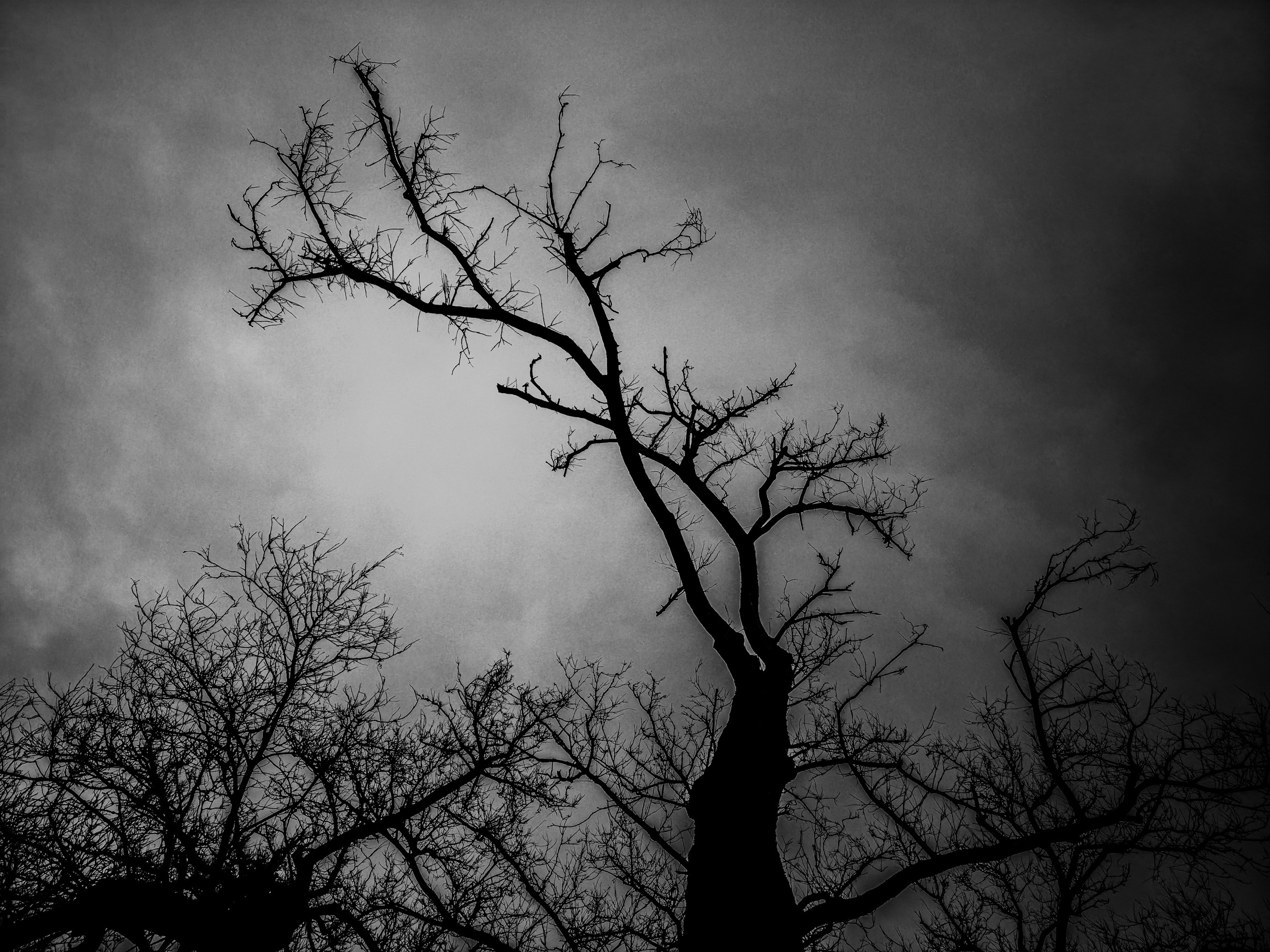 Selected Works. TAEYOUNG KANG | Fine Art Photographer