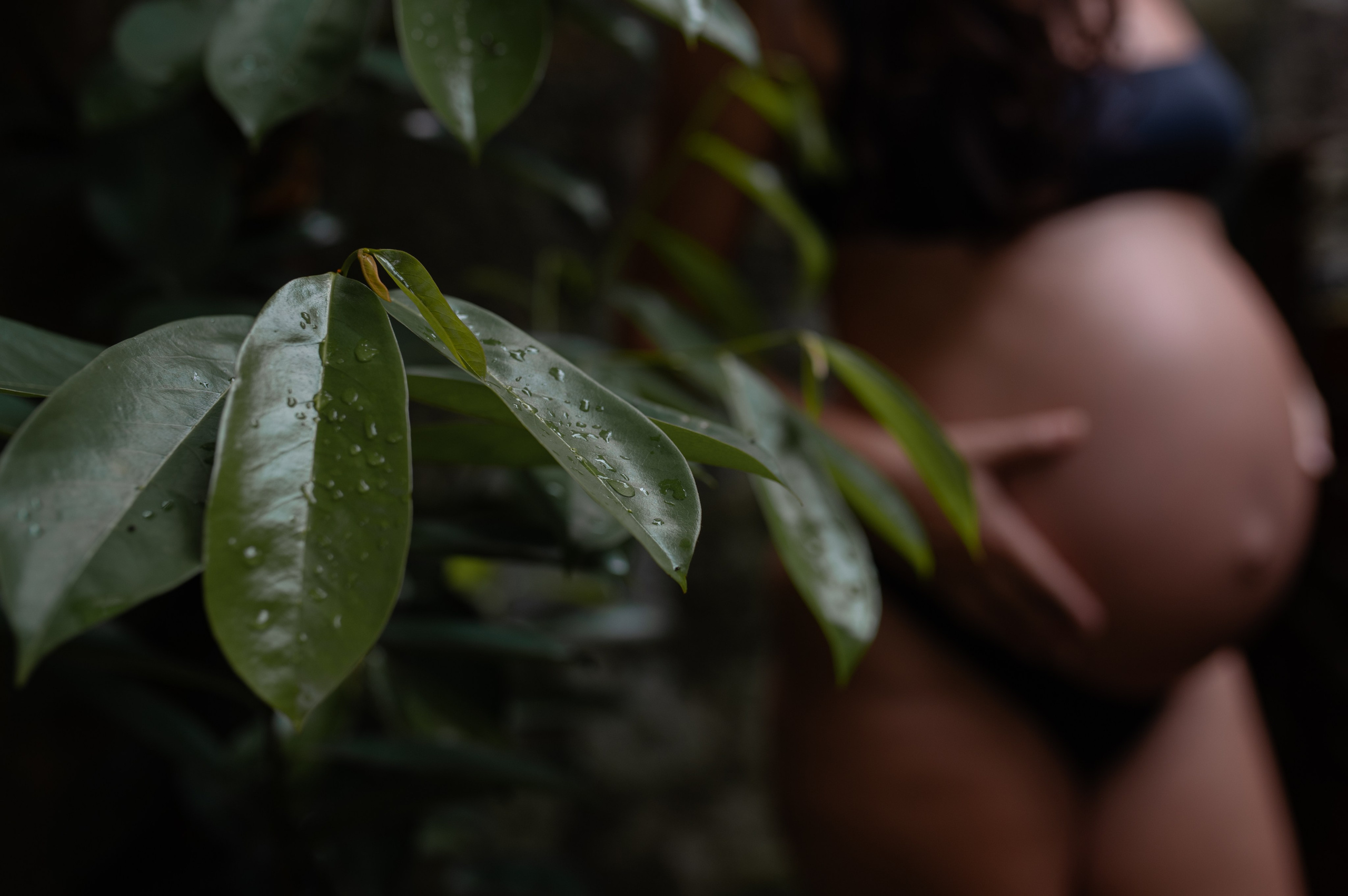 Gestar Caymi. Água Carmim Fotografia