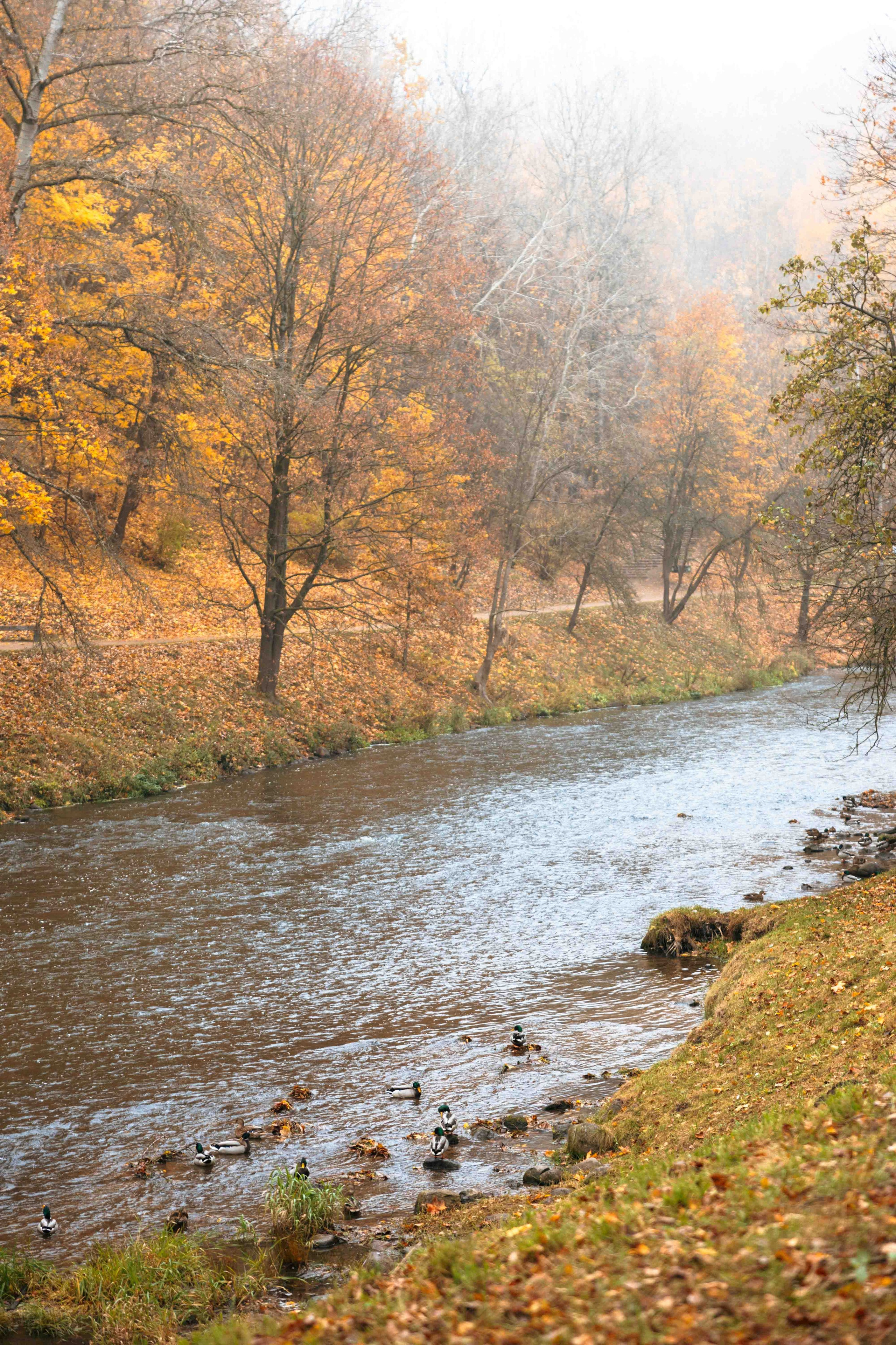 Best Autumn Photoshoot Locations in Vilnius: Top Spots to Capture the Fall Colors. Framed by Evelina | Destination Wedding Photographer from Lithuania | Europe