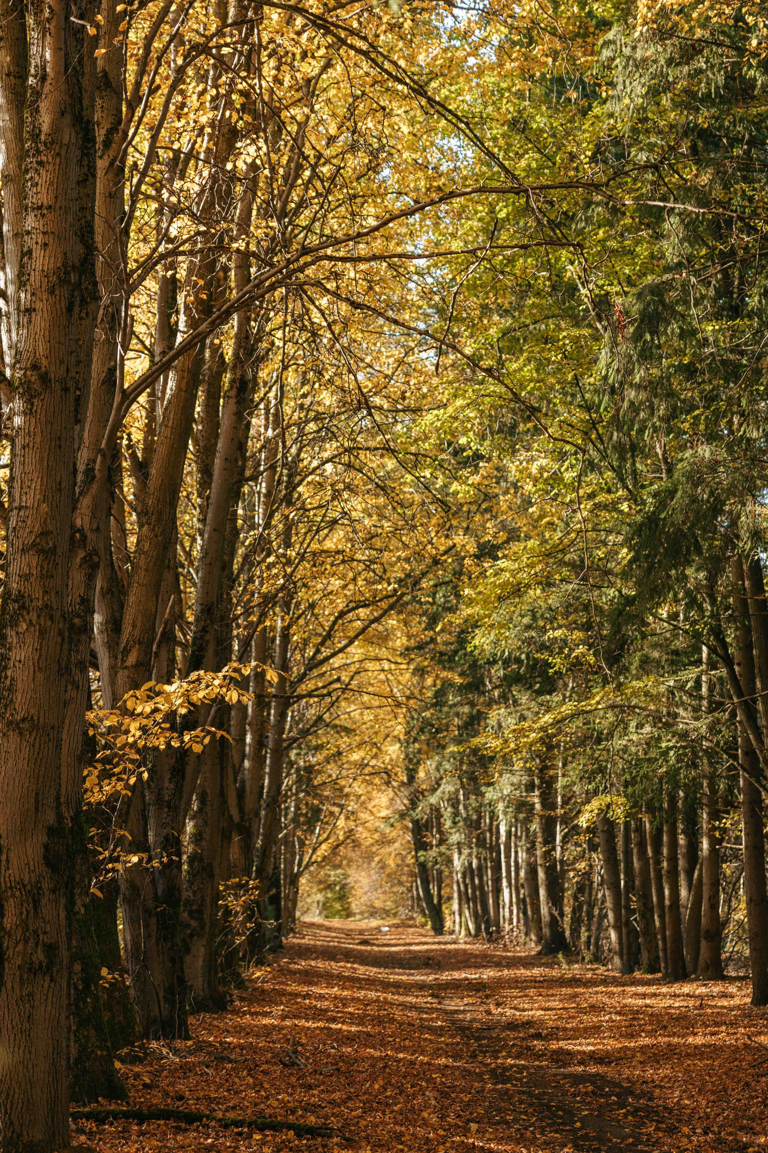 Best Autumn Photoshoot Locations in Vilnius: Top Spots to Capture the Fall Colors. Framed by Evelina | Destination Wedding Photographer from Lithuania | Europe