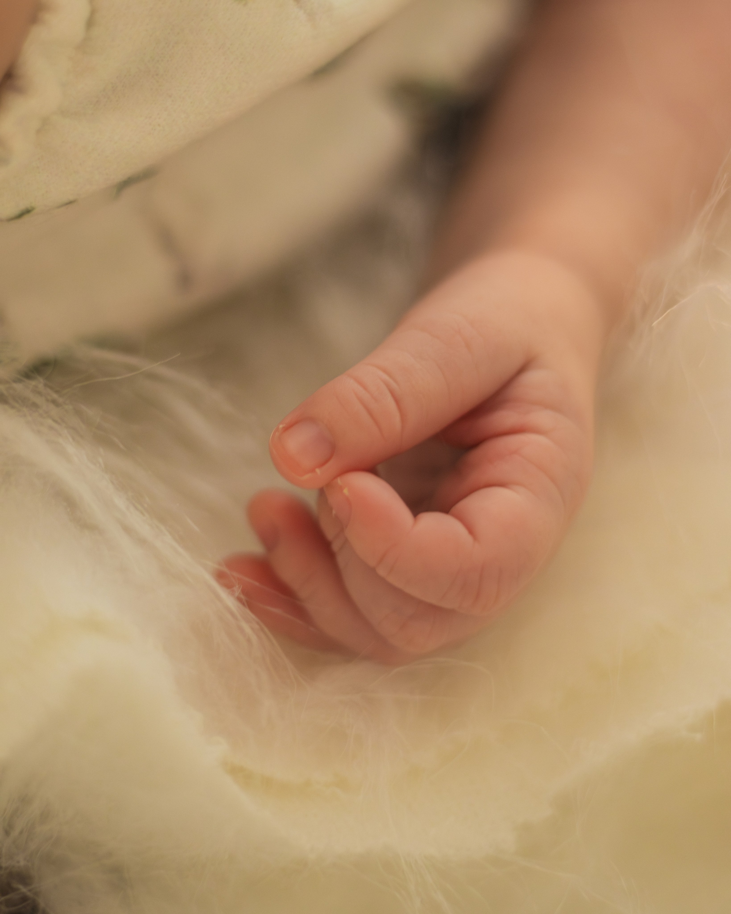 Ensaio Newborn em Sombrio. Fotografia de Recém-Nascido. Oukla Estúdio