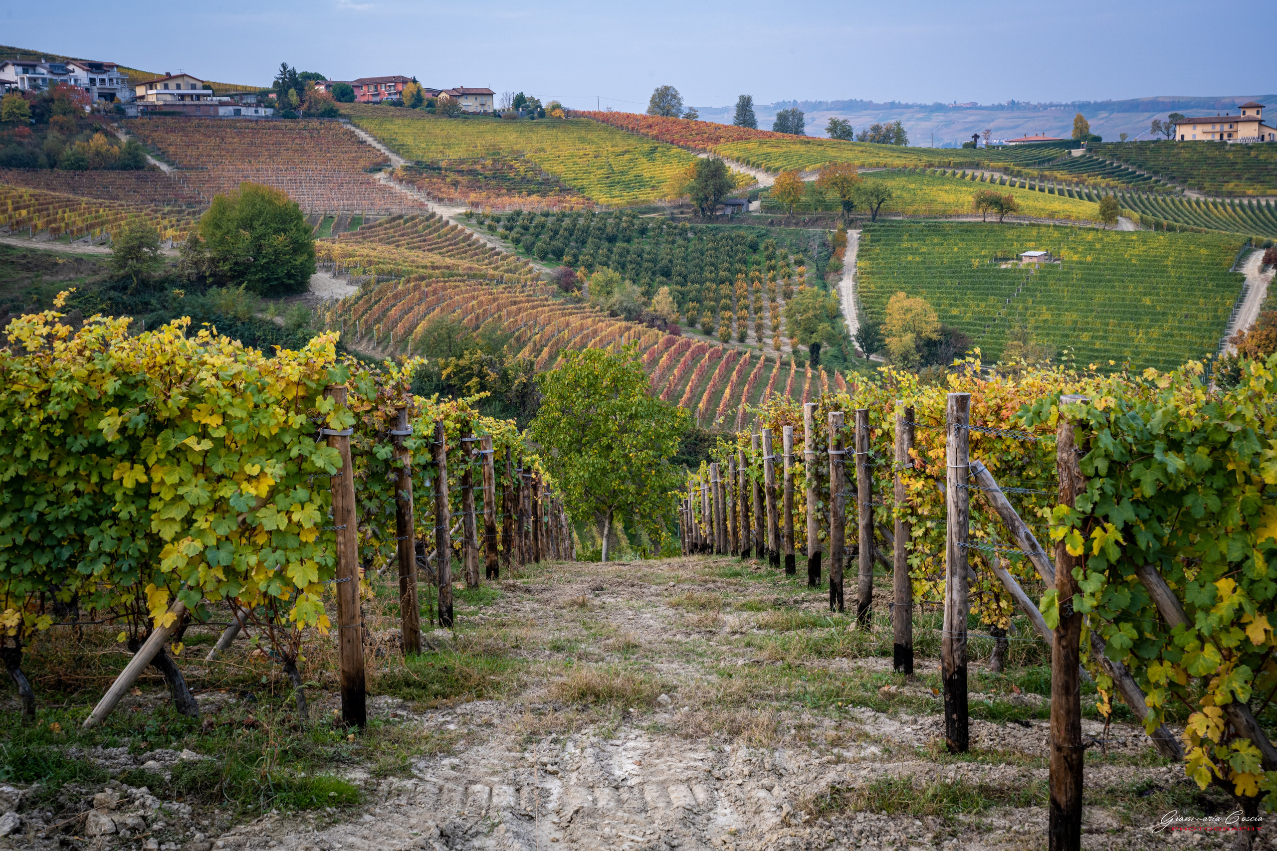 Langhe. “Gianmaria Coscia fotografo per passione”