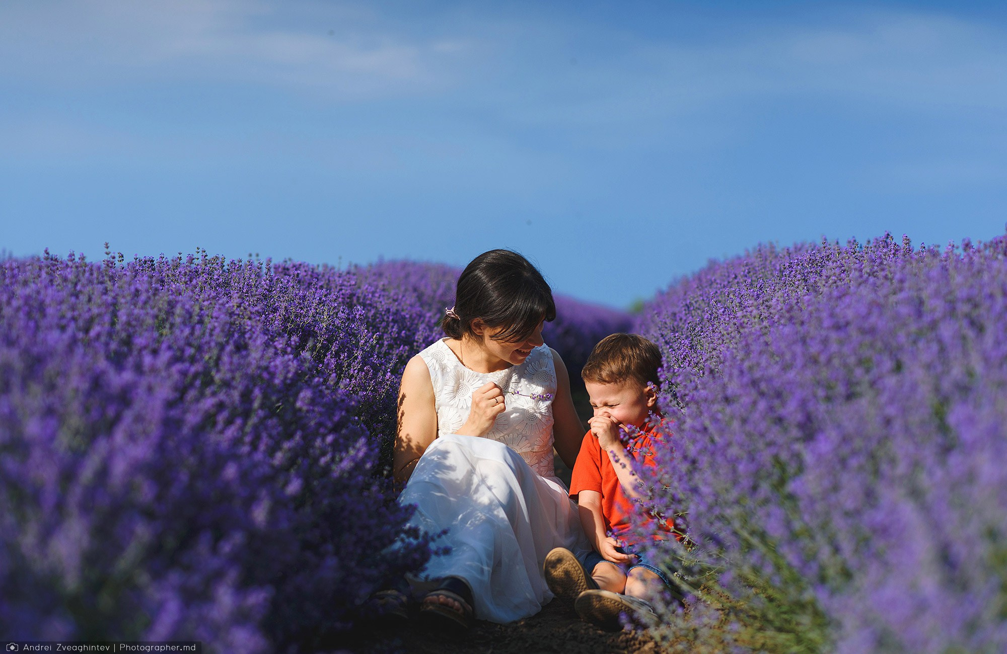 Family photosession in lavender in Moldova — family and wedding photographer Andrei Zveaghintev. Wedding and family photographer in Moldova, Chisinau— Andrei Zveaghintev