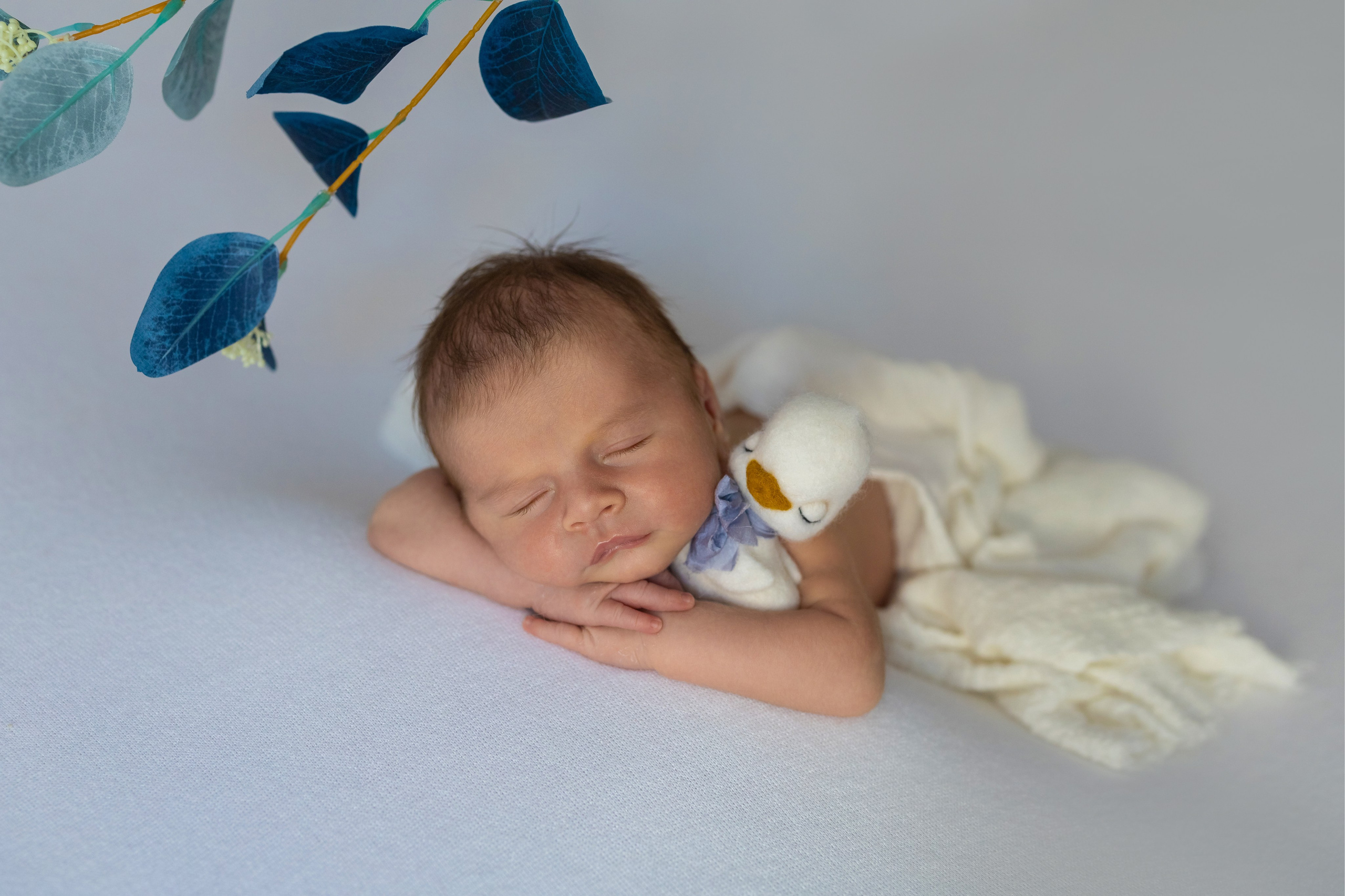 Nounascuti. Fotograf de familie la Ungheni și Reggio-Emilia, Alessia Slivca