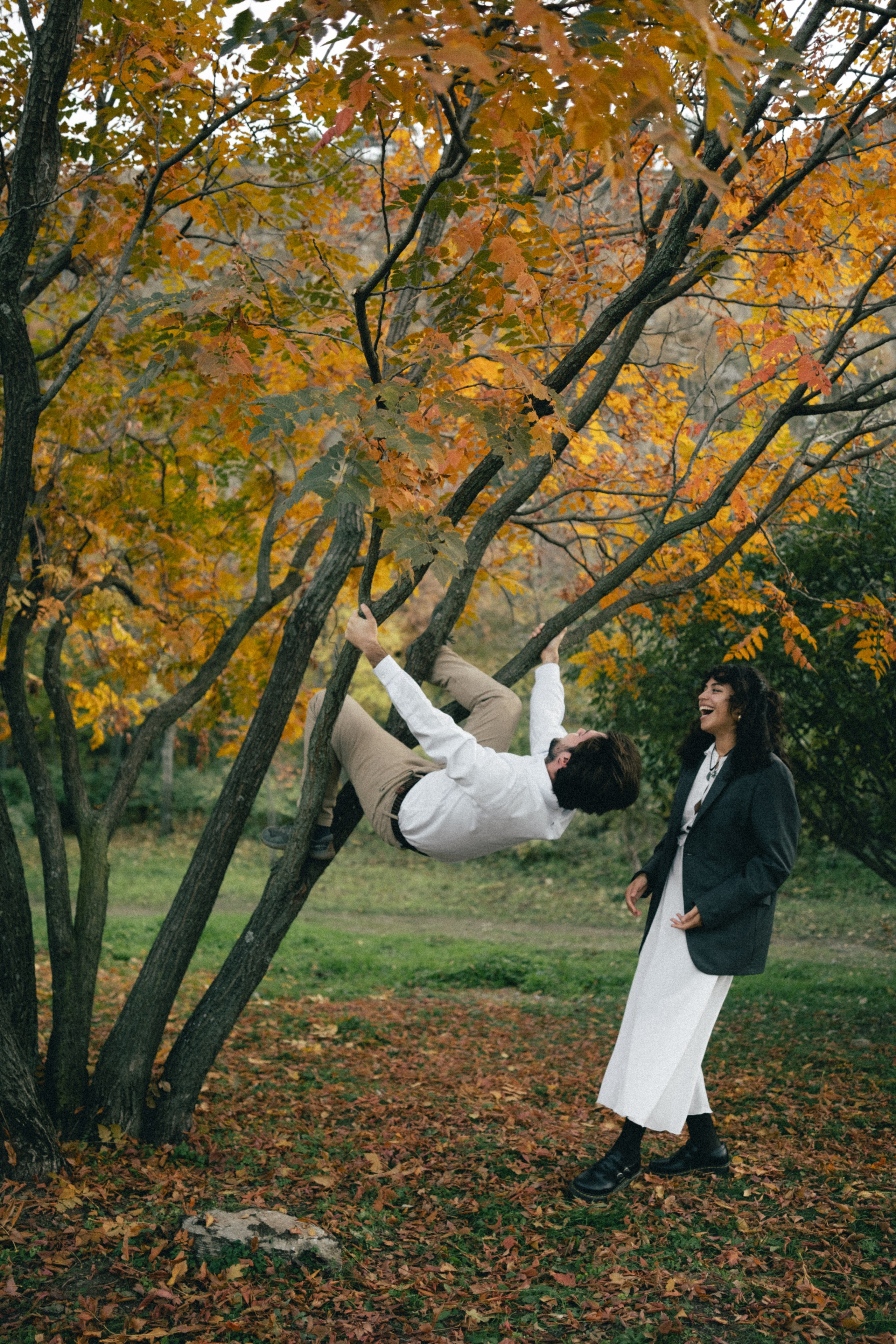 Botanical garden | Alessandro & Johanna. Главная