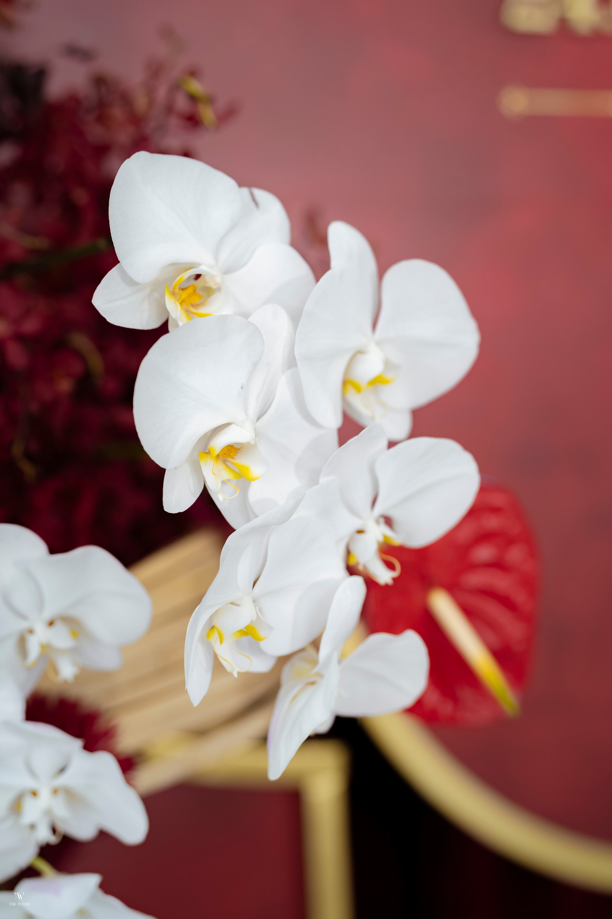 NAM & PHƯỢNG. WEDDING PHOTOGRAPHER IN VIETNAM