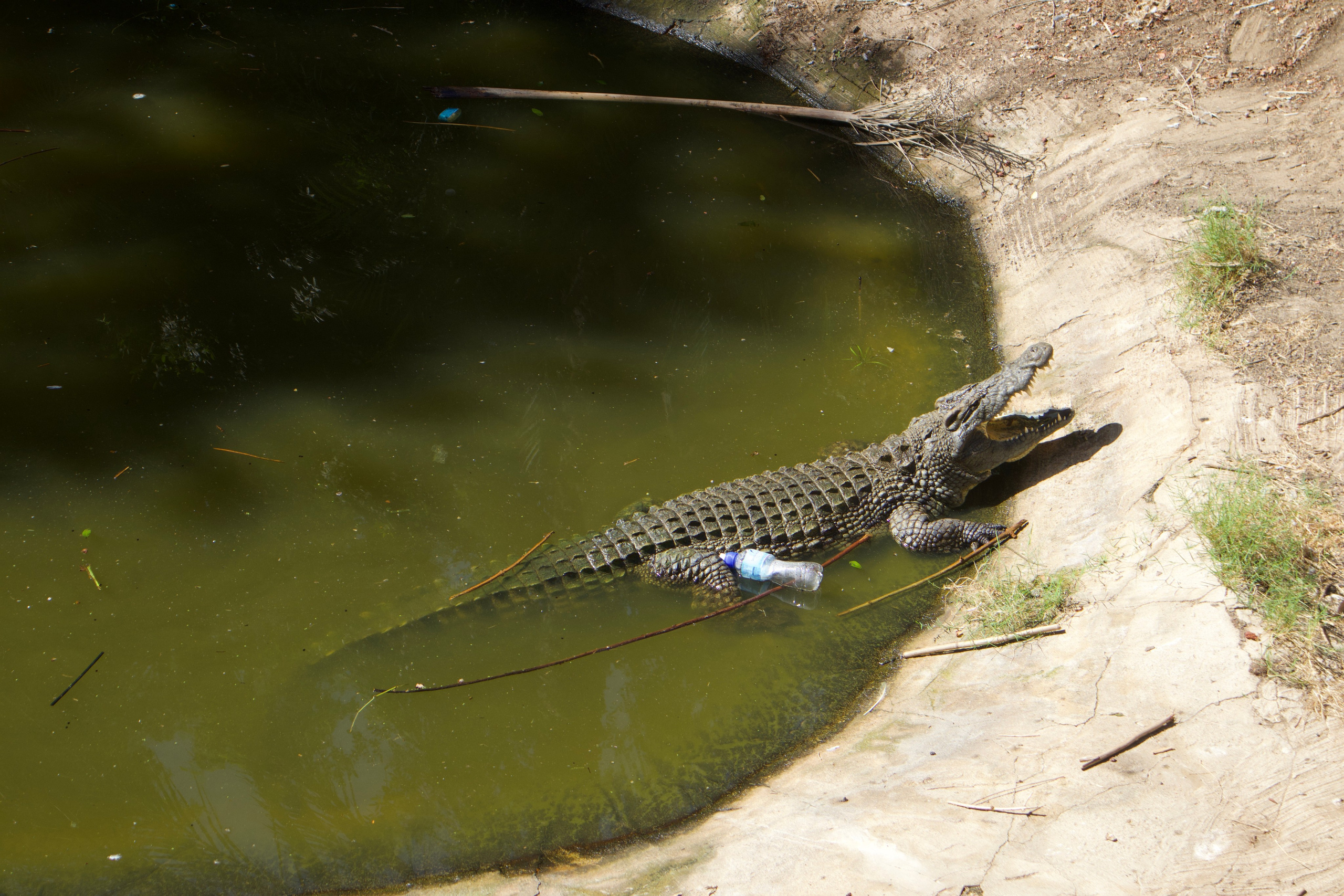 Everything from everything