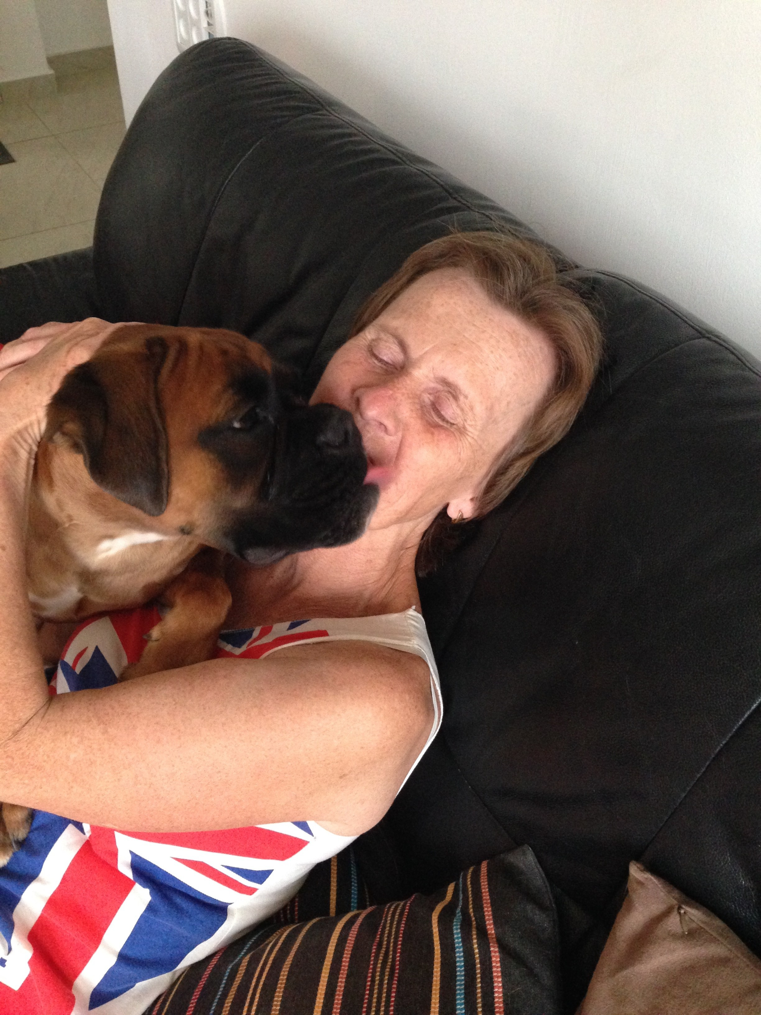 My ״Star״ Boxer Dog