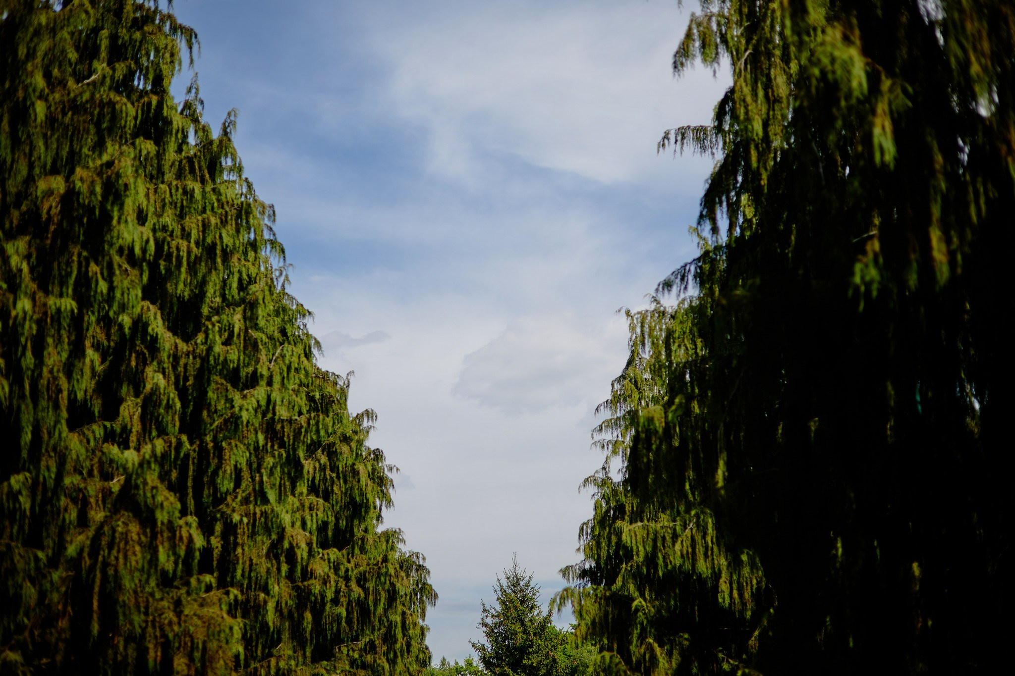 Sesja narzeczeńska. Daniel Chróściel Studio Myslub Fotografia i wideo ślubne