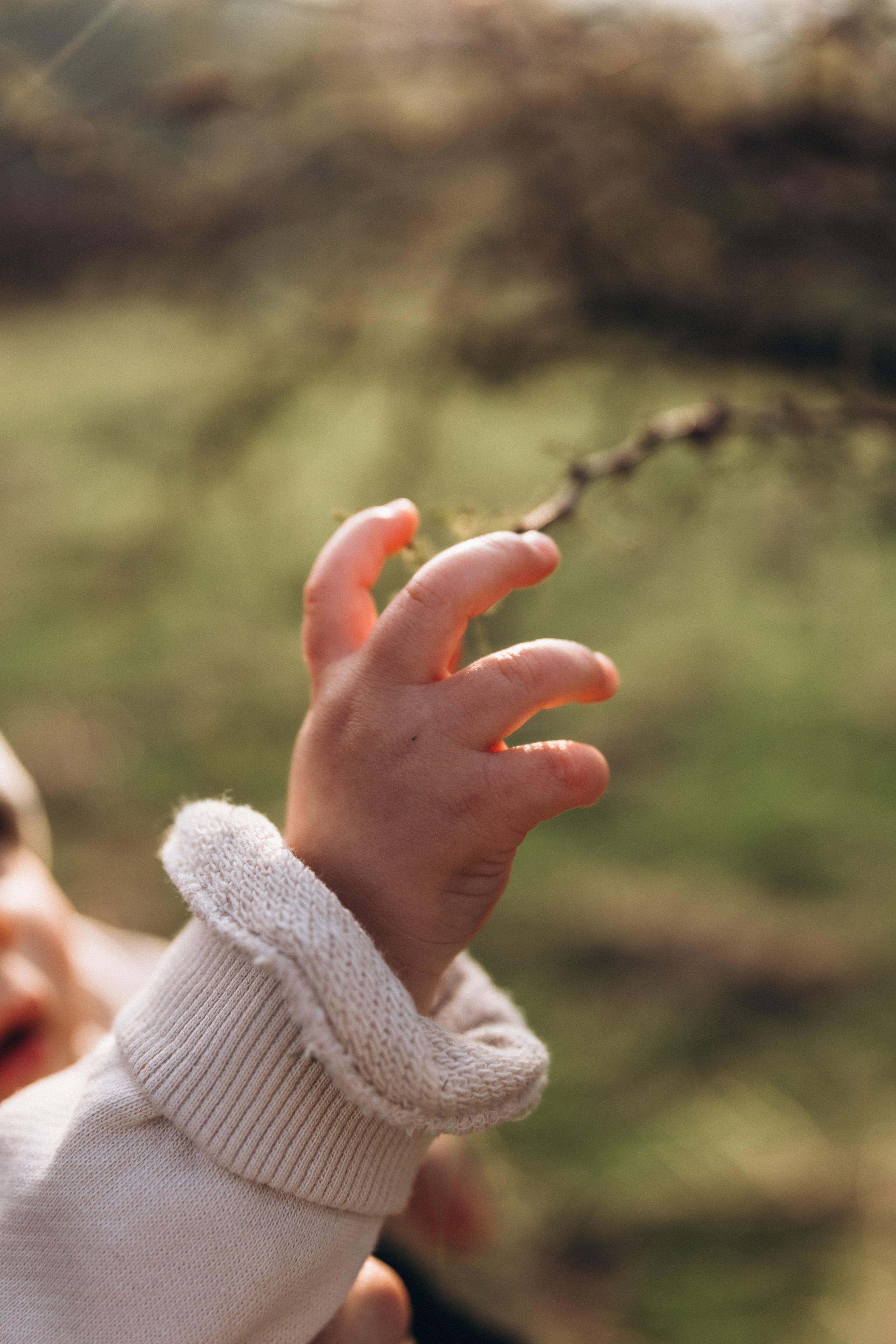 Sesión familiar con caballos en la montaña — Naturaleza y ternura. Photographer in Santiago, Chile Anna Almazova