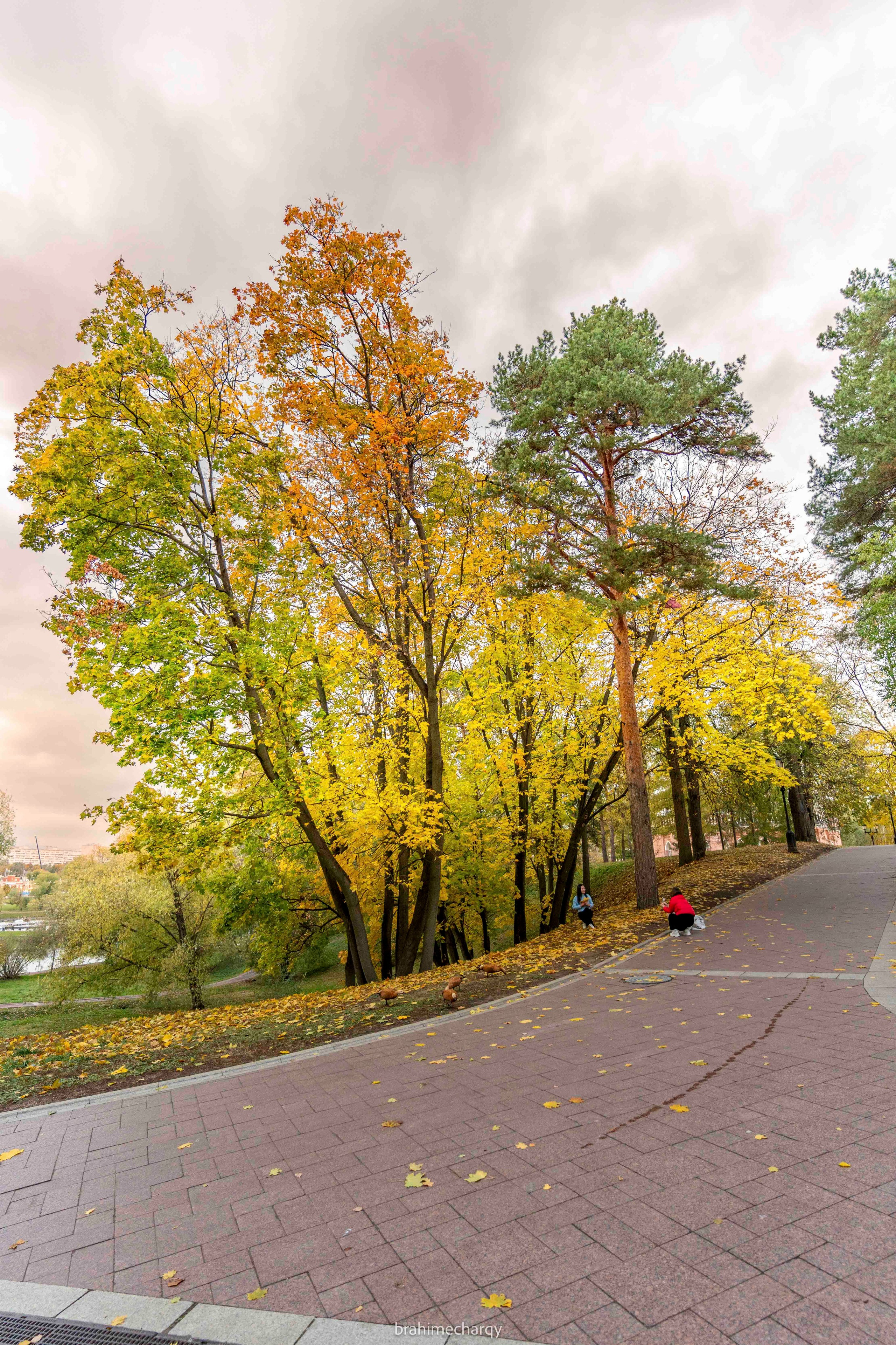 Фото. Брахим — фотограф