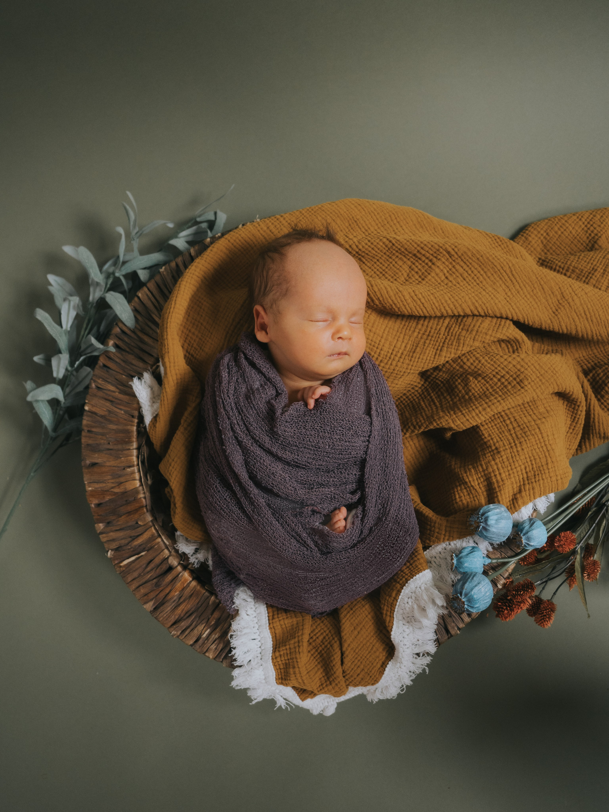 Mimosa Studios — Motherhood & Family Photographer in Montreal