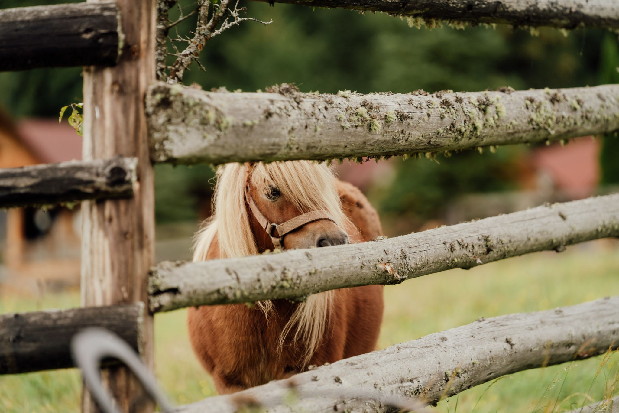 Trash the dress - Gabriela & Cosmin