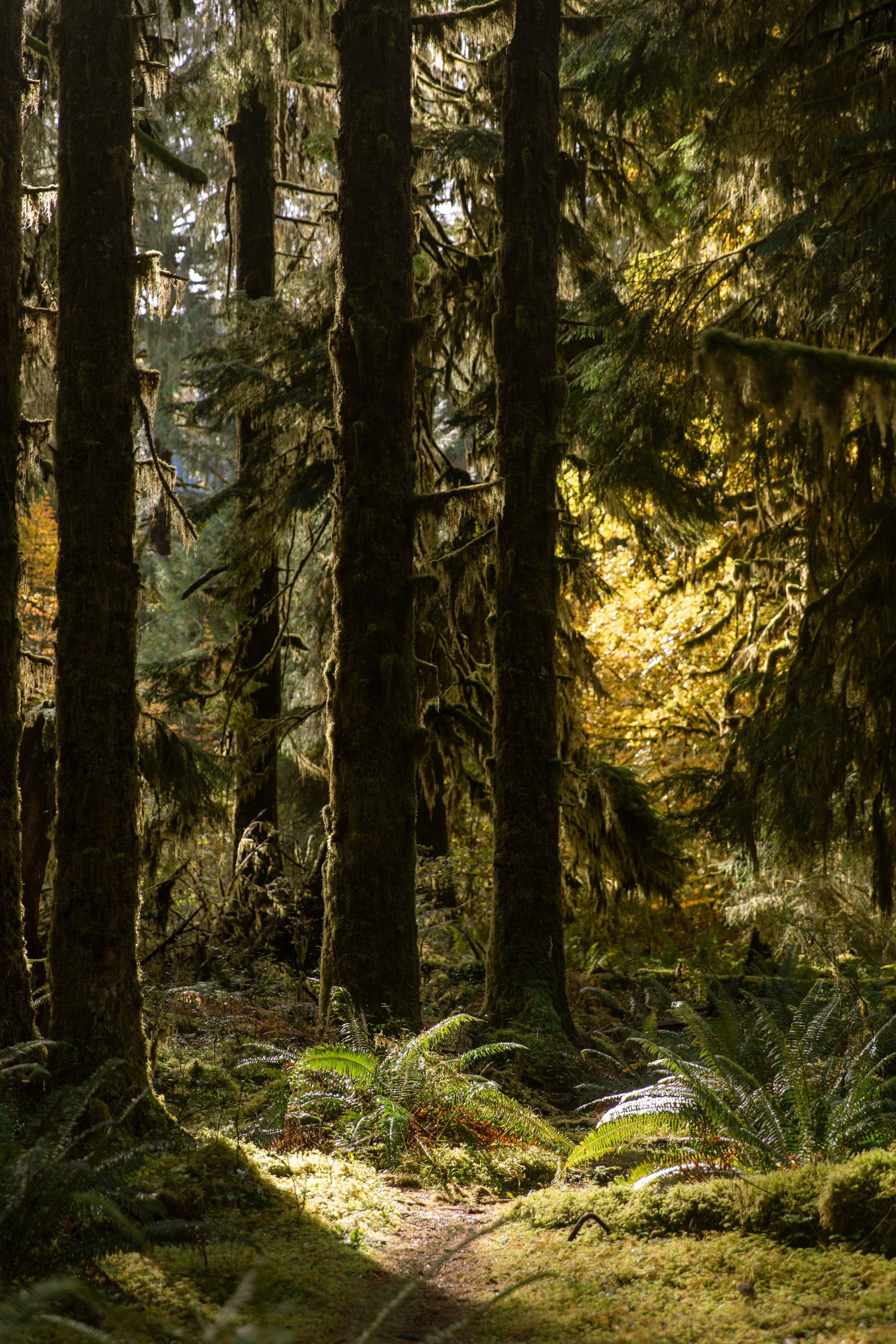 Twilight | Wallpapers. Photographer in Los Angeles. Julia Ishmuratova