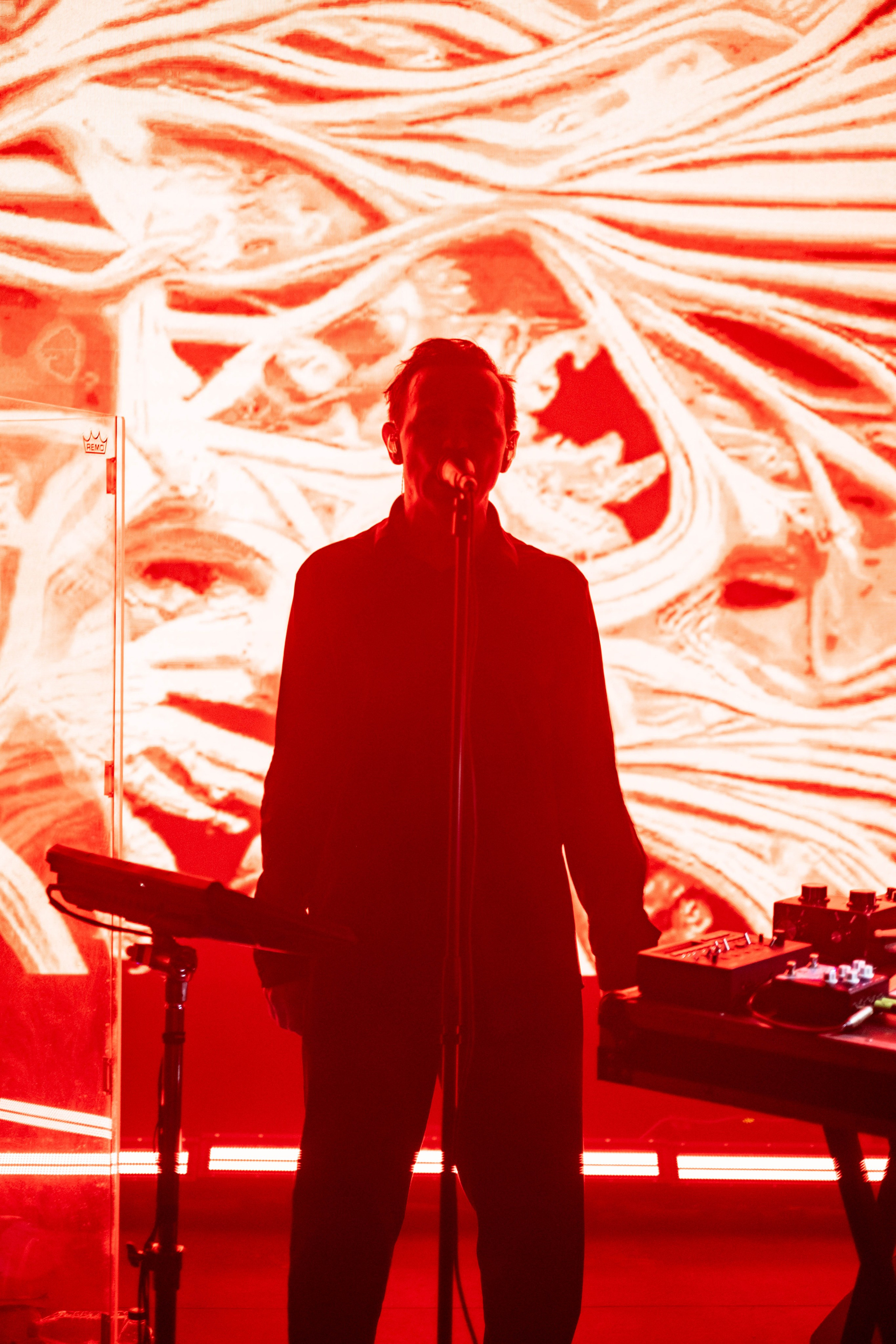 Dolphin @ 7 Fridays @ 06.05.25