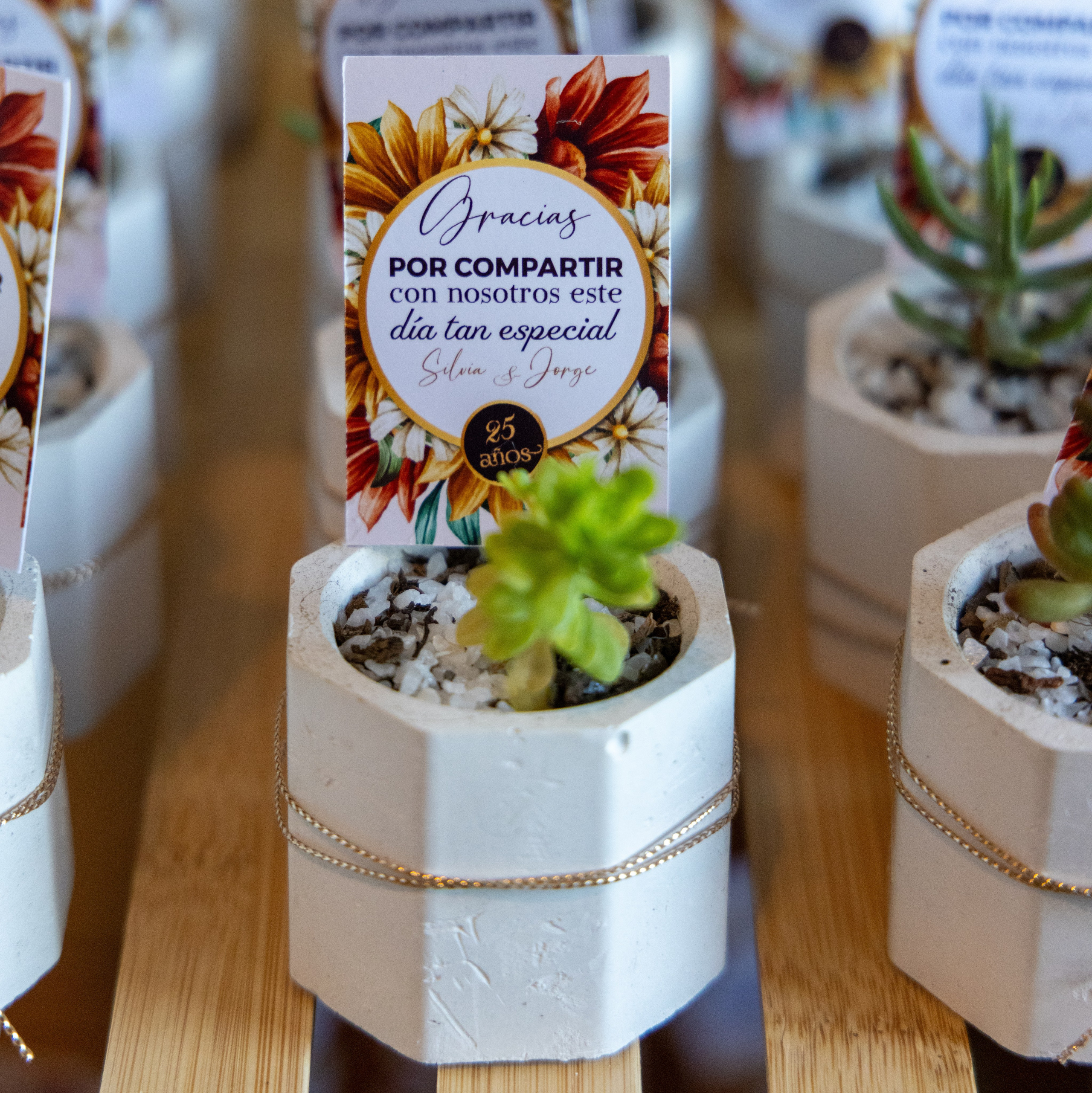 Silvia y Jorge. Dinka & Emilio - El arte de preservar lo que no se repite