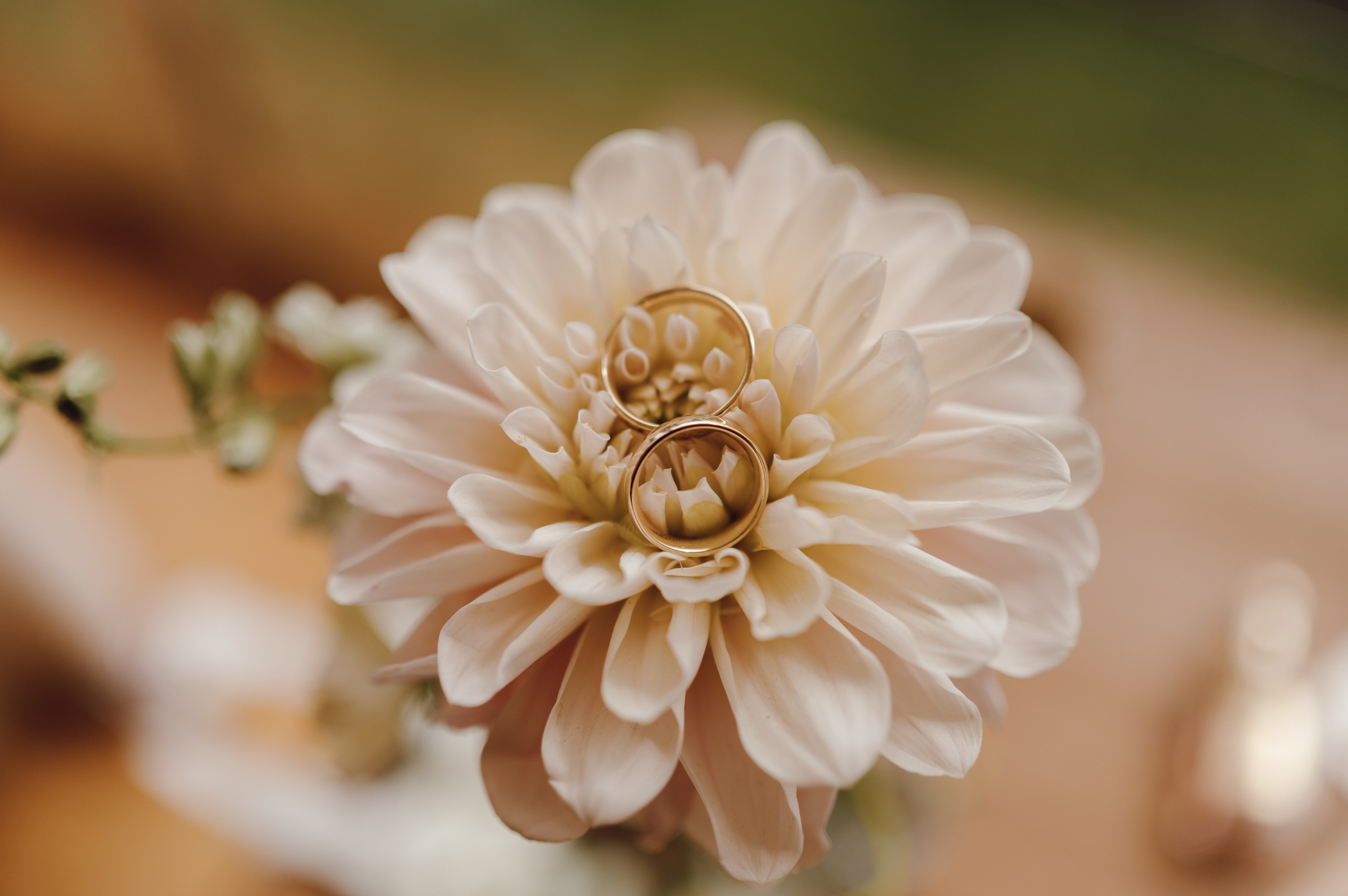 Reportaż Ślubny – Zuzia i Jasiek | Fotograf Ślubny Poznań. Ślubny fotograf Poznań | Oliwia Makara