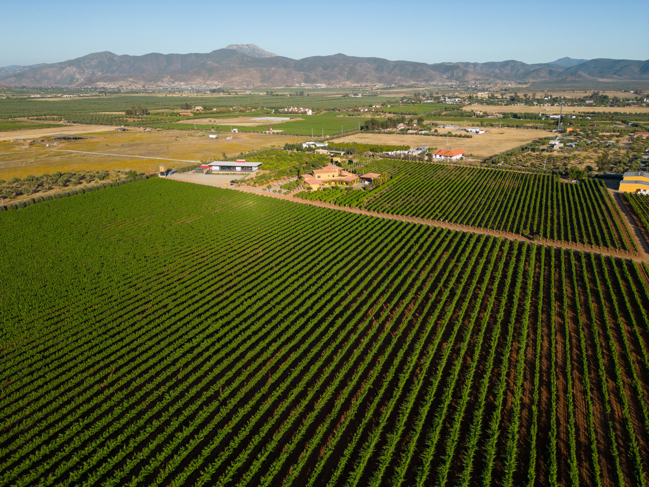 Comercial. Estudio de fotografia en Tijuana