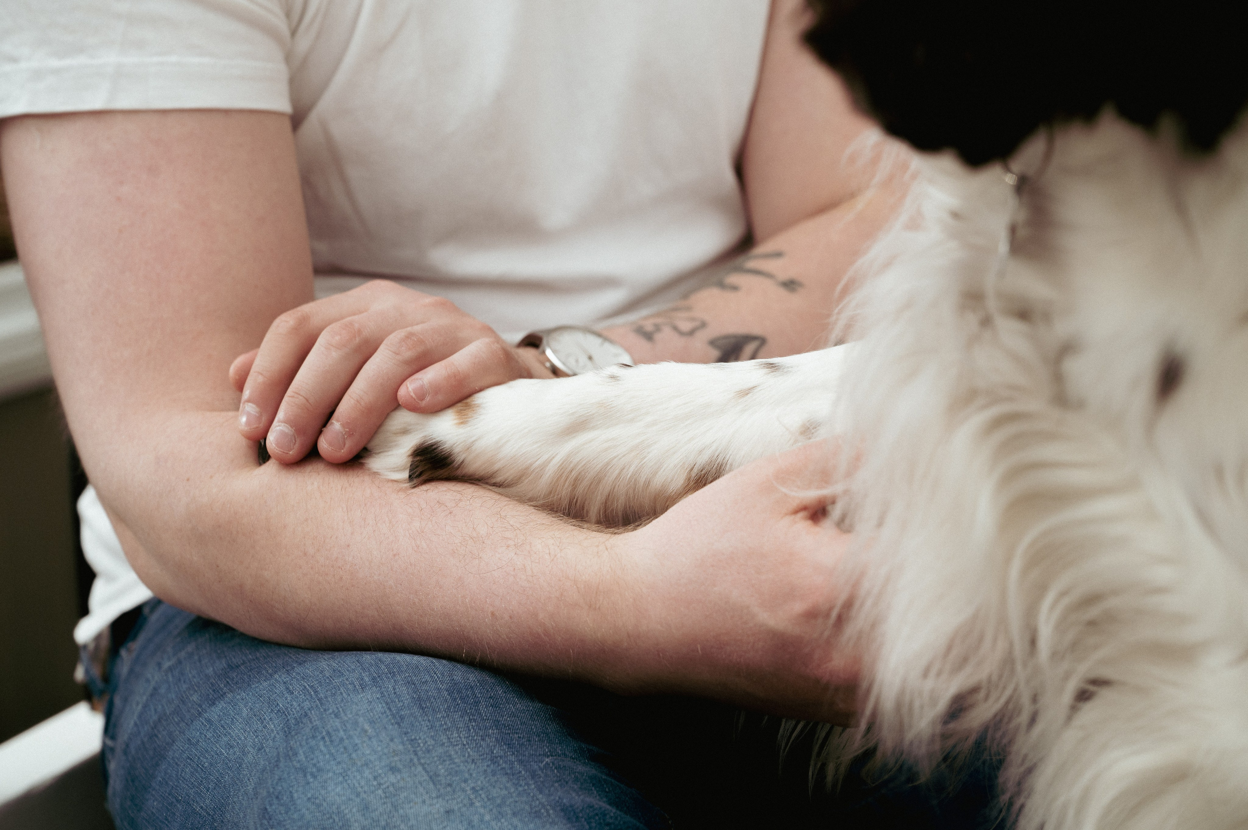 Barn- og familiefotografering. Din fotograf i Narvik kommune