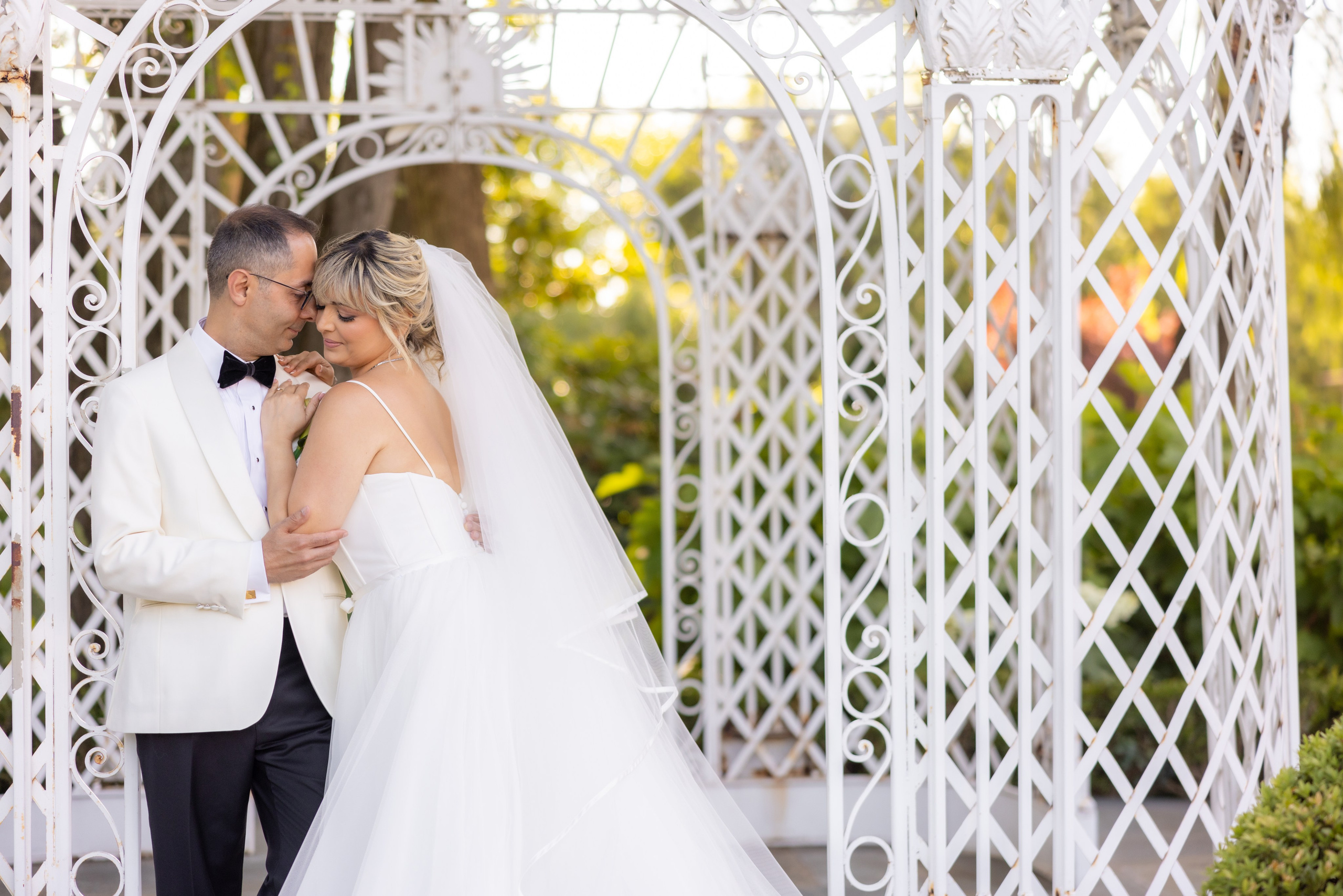 Mandana & Babak. Wedding Photo & Video