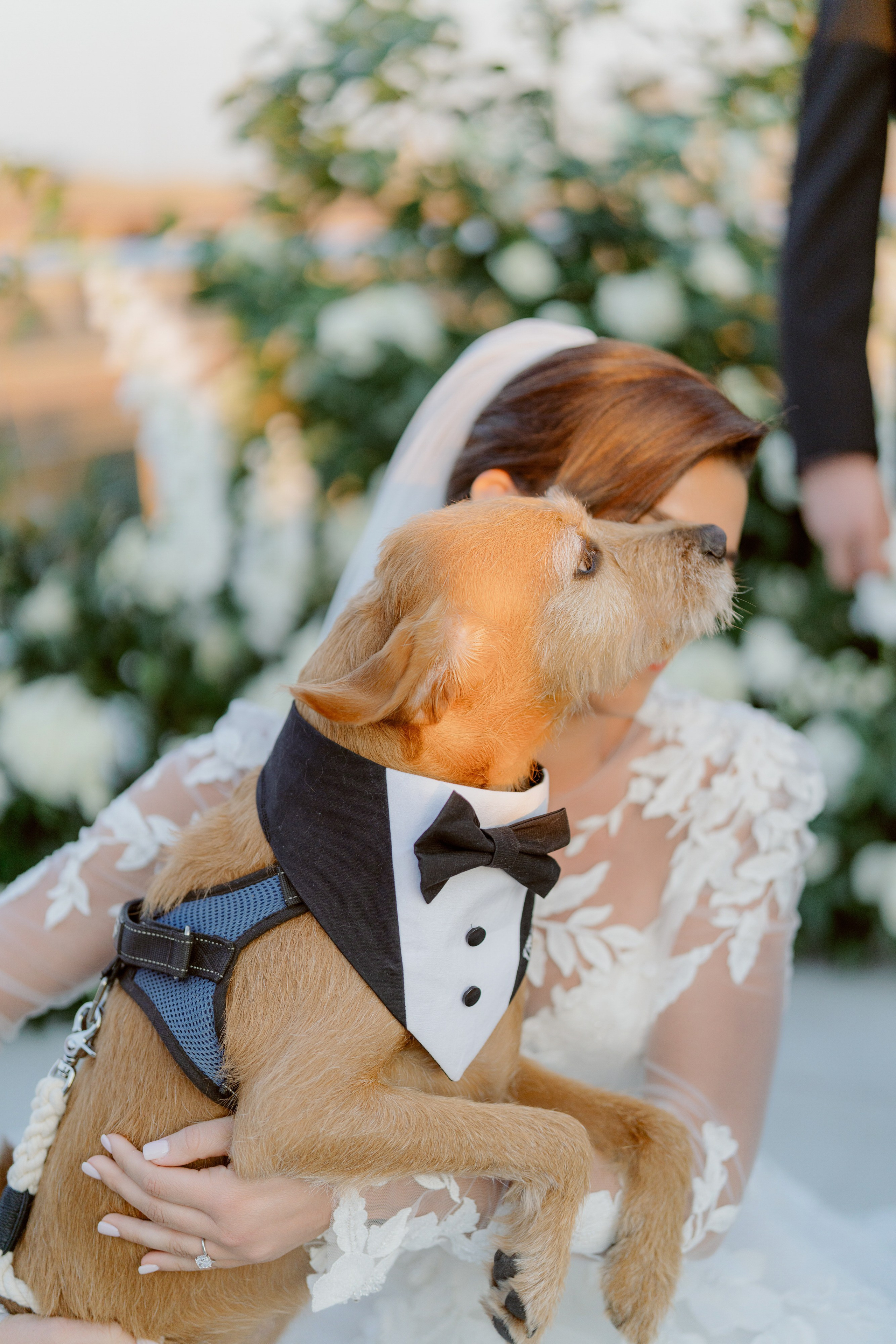 Jenna and Steven. Wedding photographer and videographer New York | New Jersey