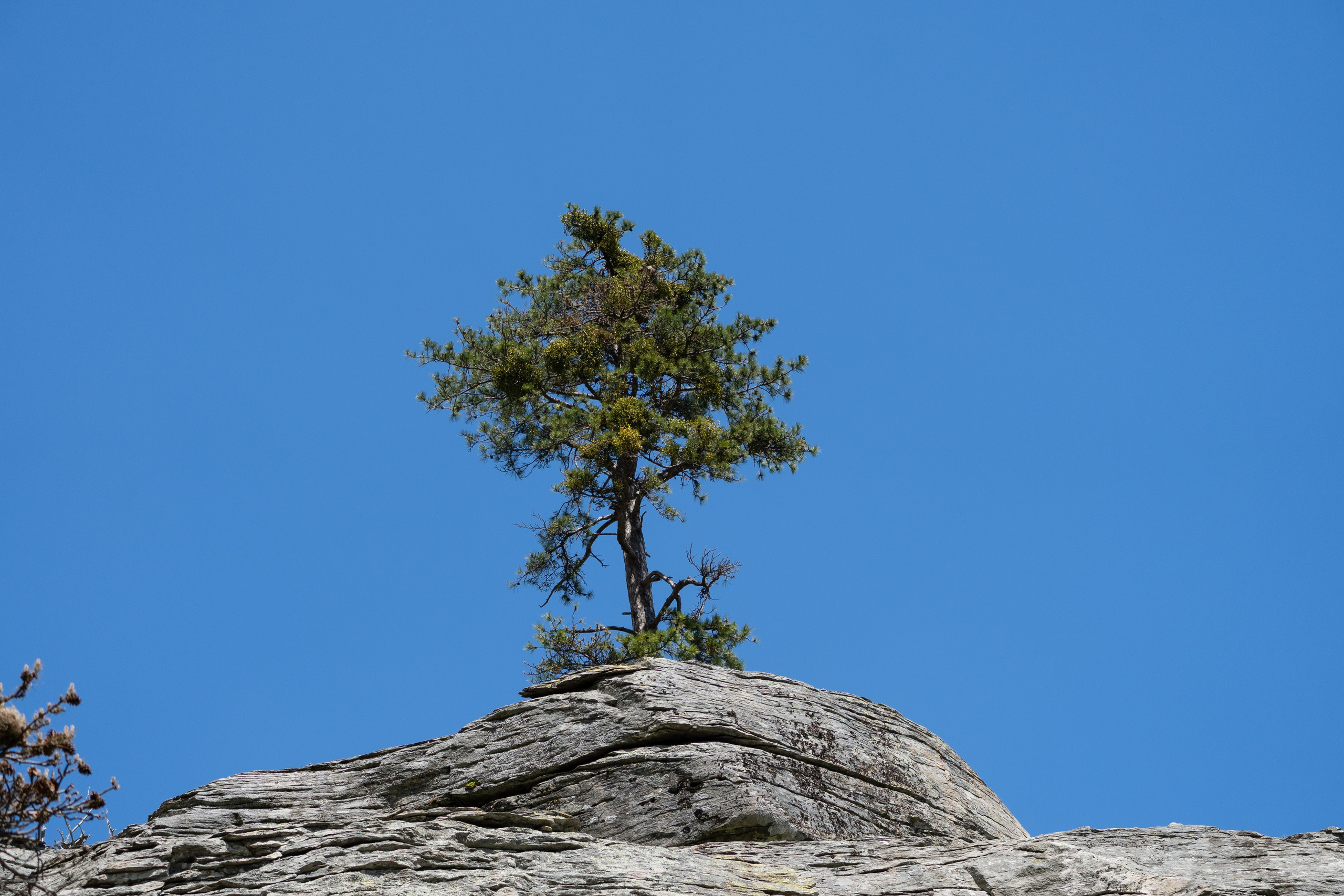 Thasos 2025. Fotografiideplacere.net