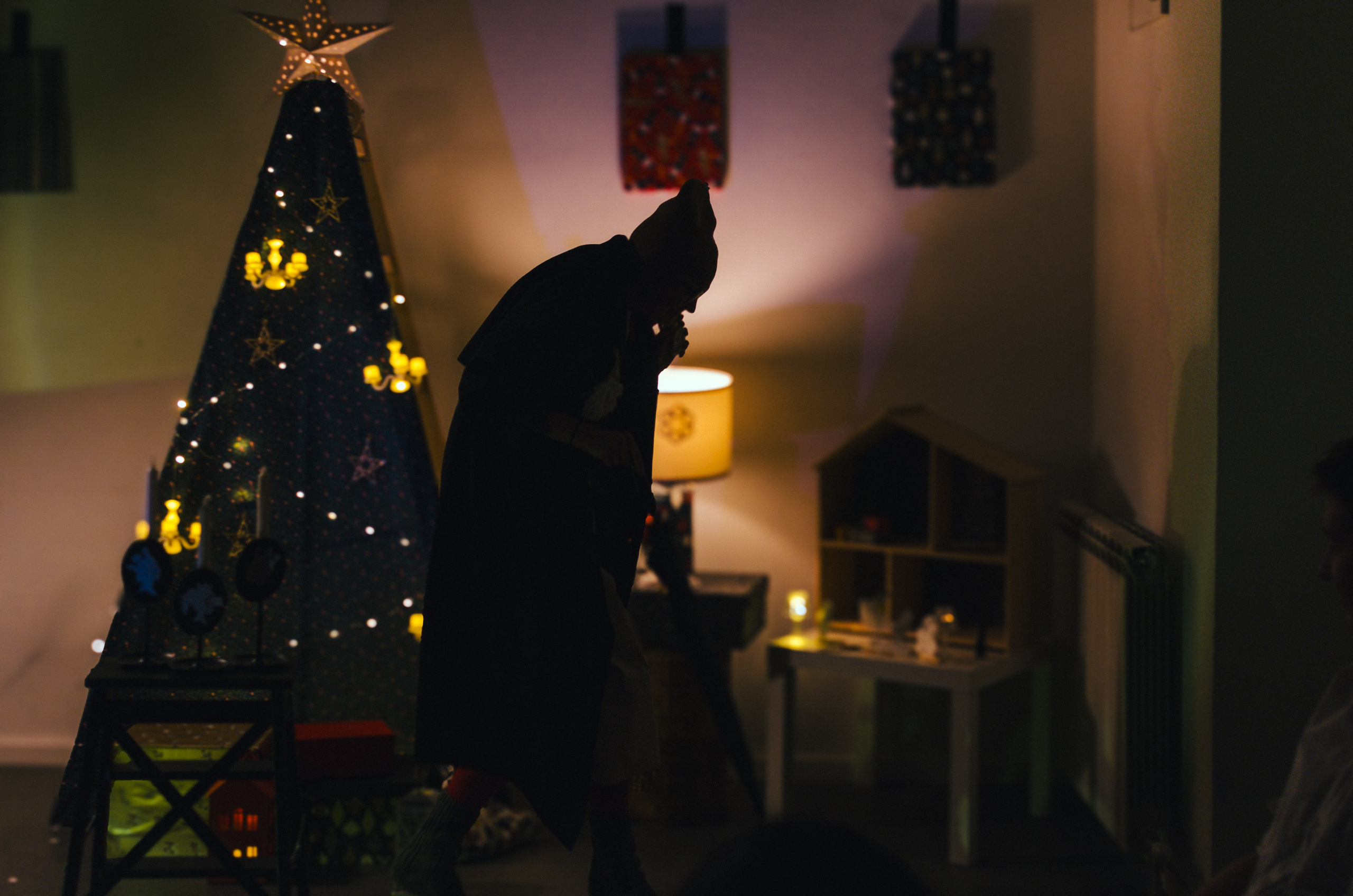 Performance «The Nutcracker». Event photographer Alena Iurchenko