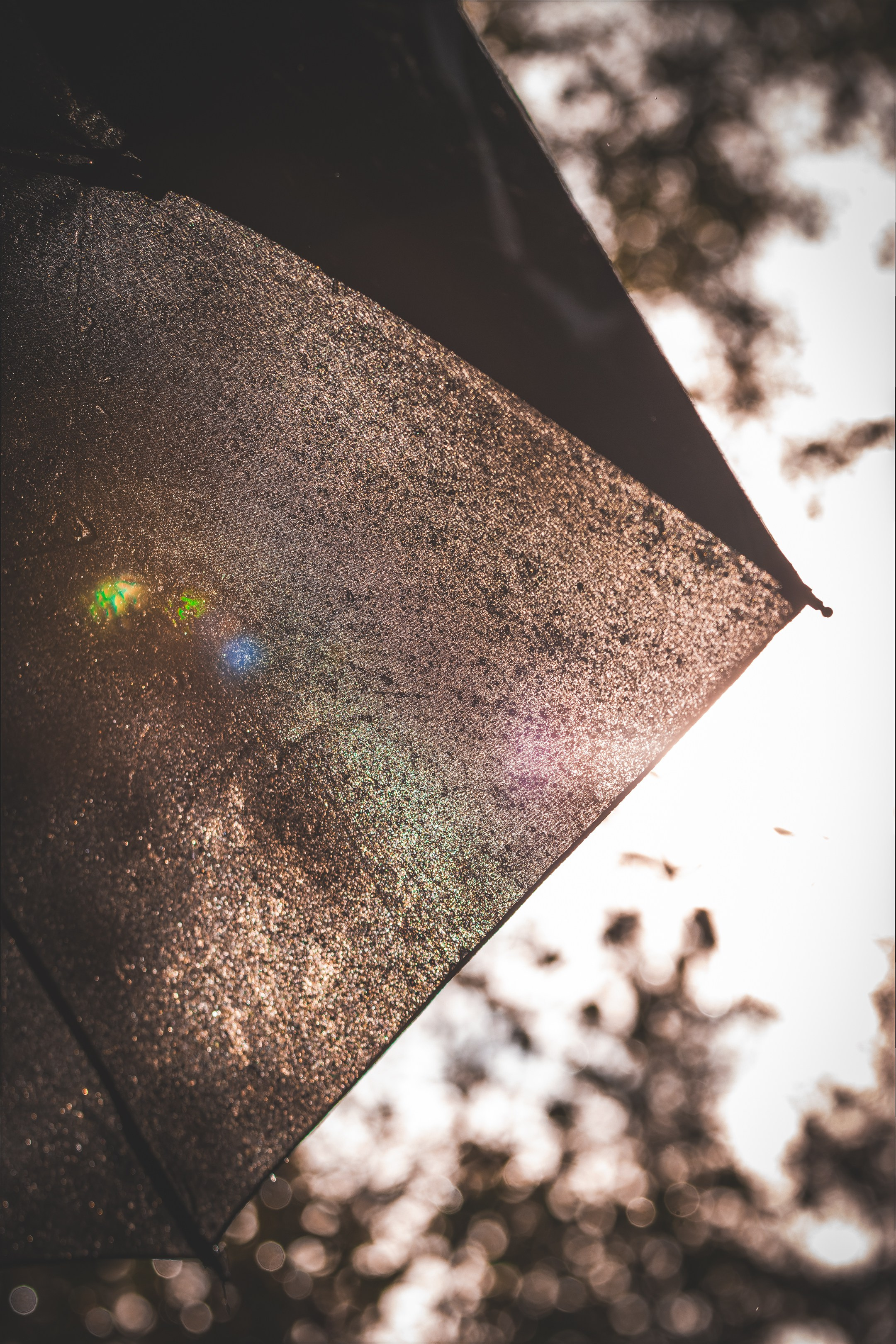 Mets, vihm ja jahedus (Dimitry). Nebula 25 — Fotod teie hingele