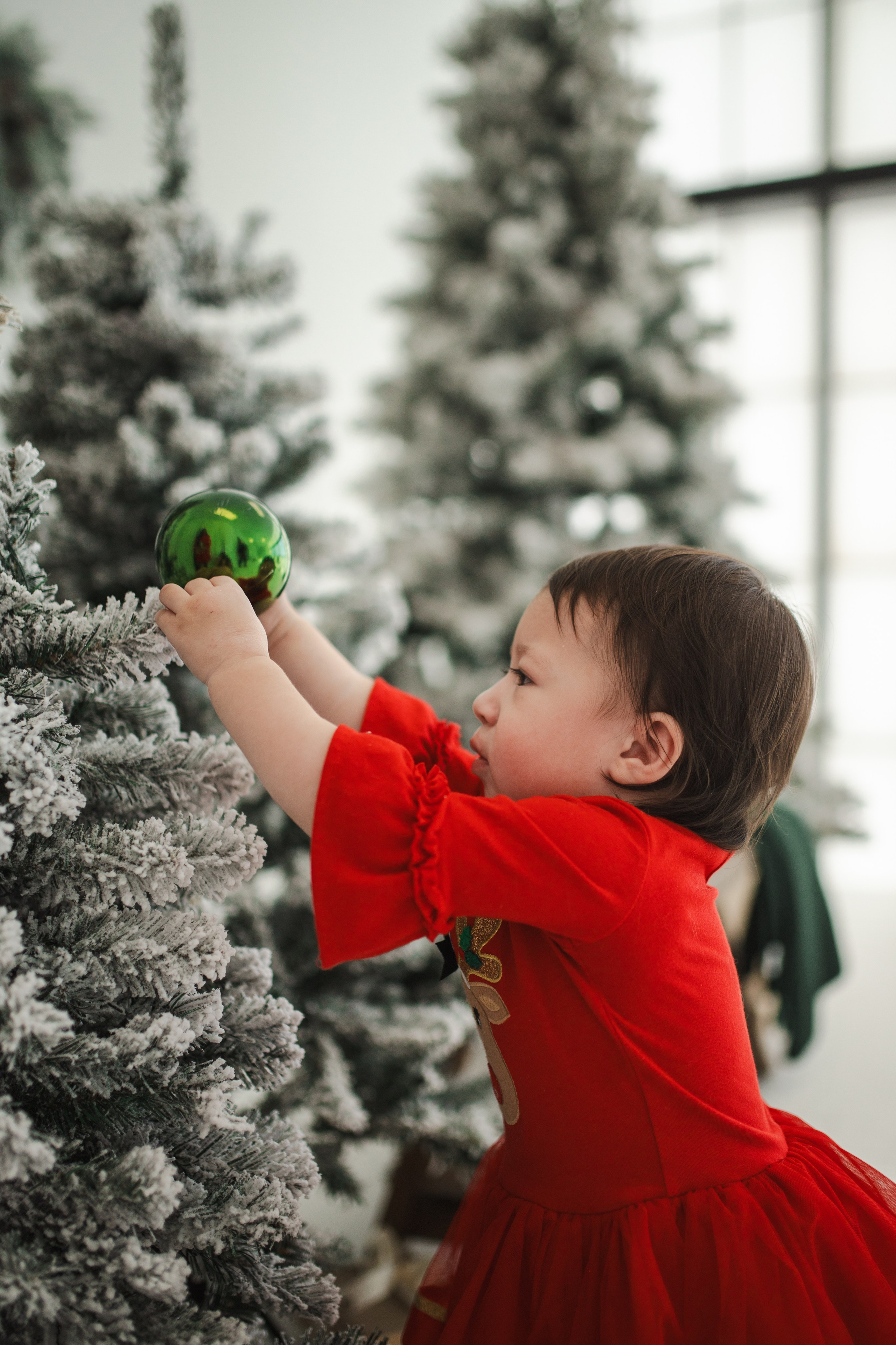 Christmas at the studio. Oxana Photographer in Charlotte, NC