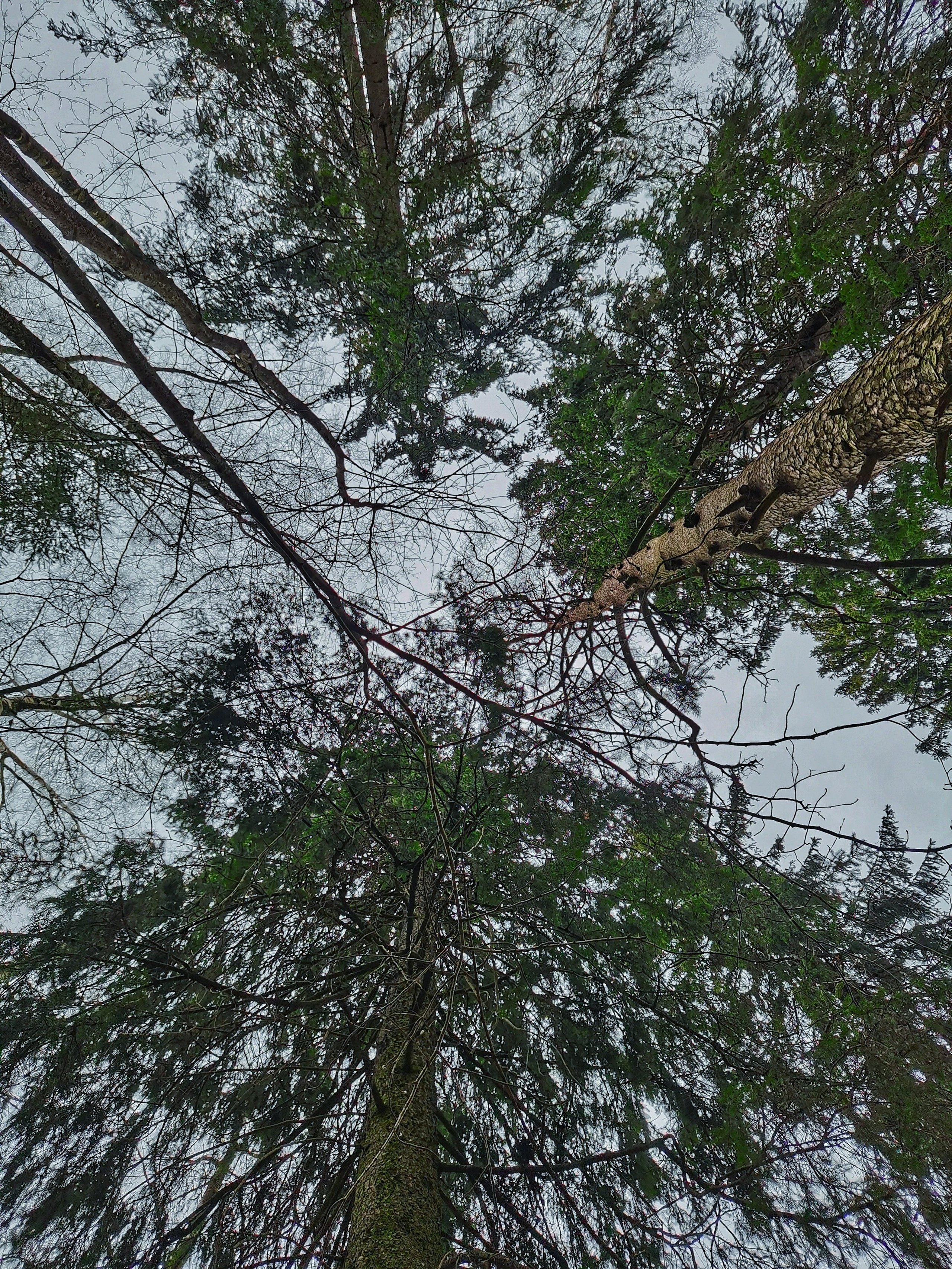 Saint Petersburg through my lens. Victoria Fedoseenko. Photographer from Serbia