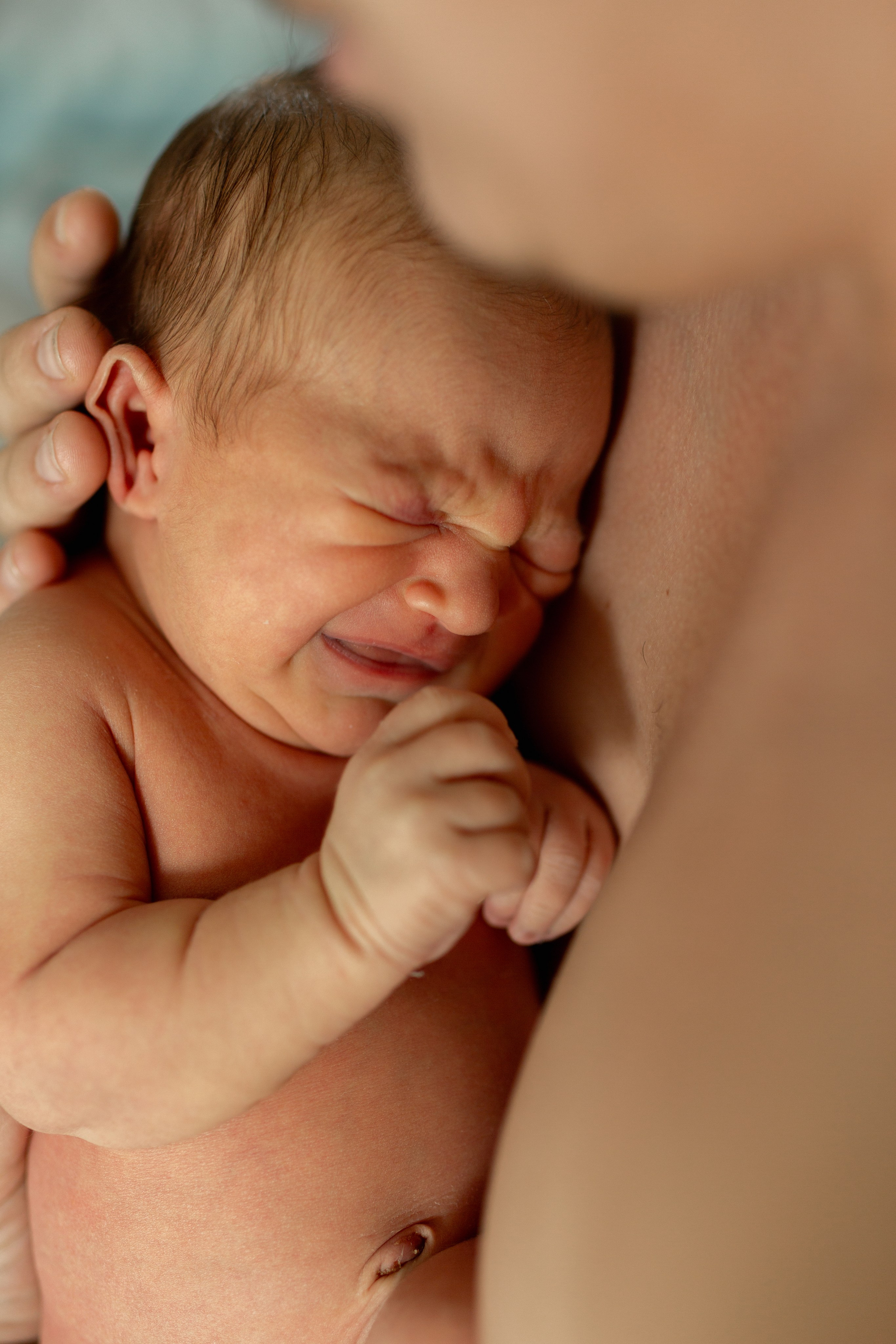 Veniamin. Photographer Vladmir Gladkov