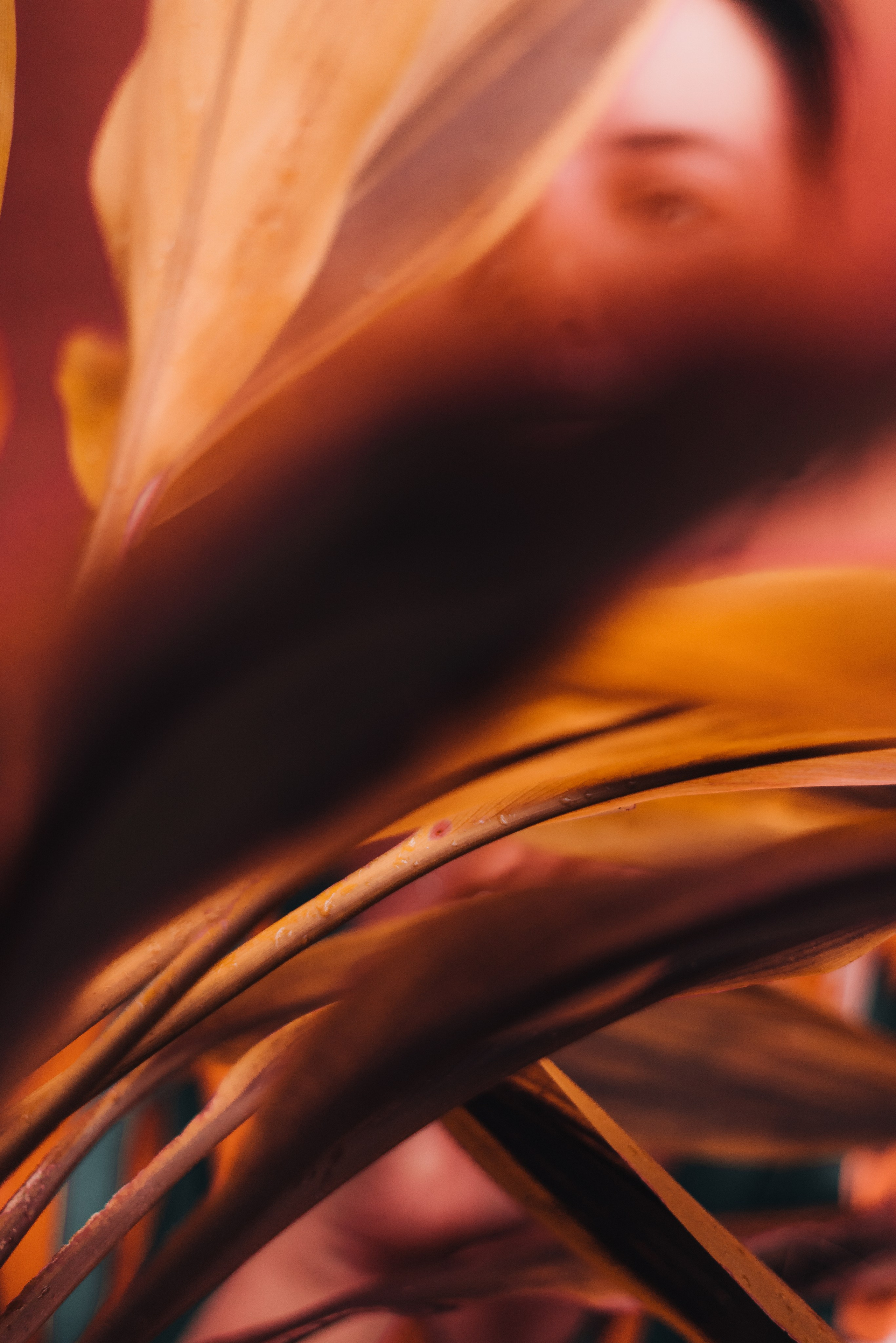 Portrait. Photographer and videographer for business in Tbilisi Catrine Poznyak