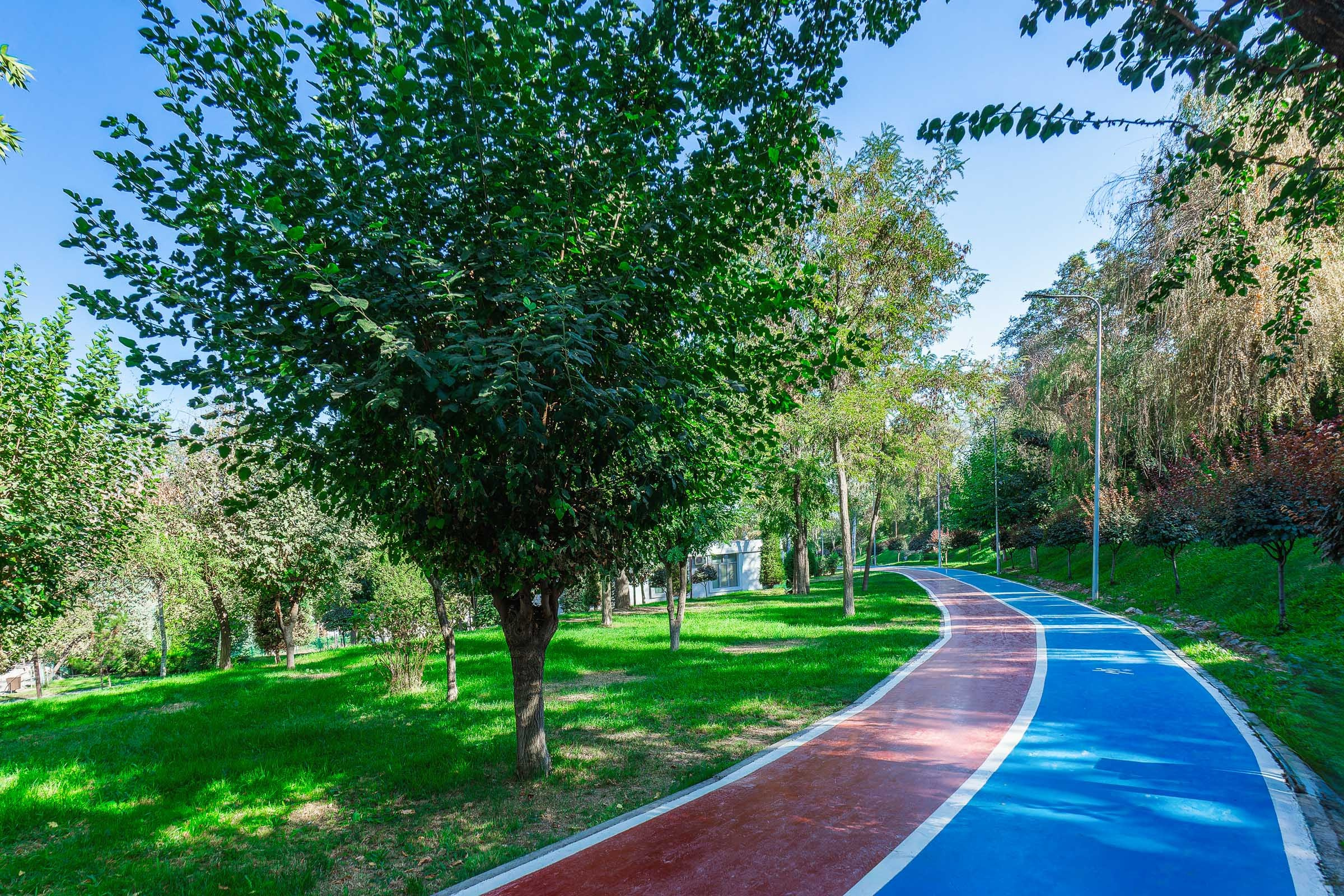 Bibigon 7. Аренда апартаментов Ташкент Узбекистан