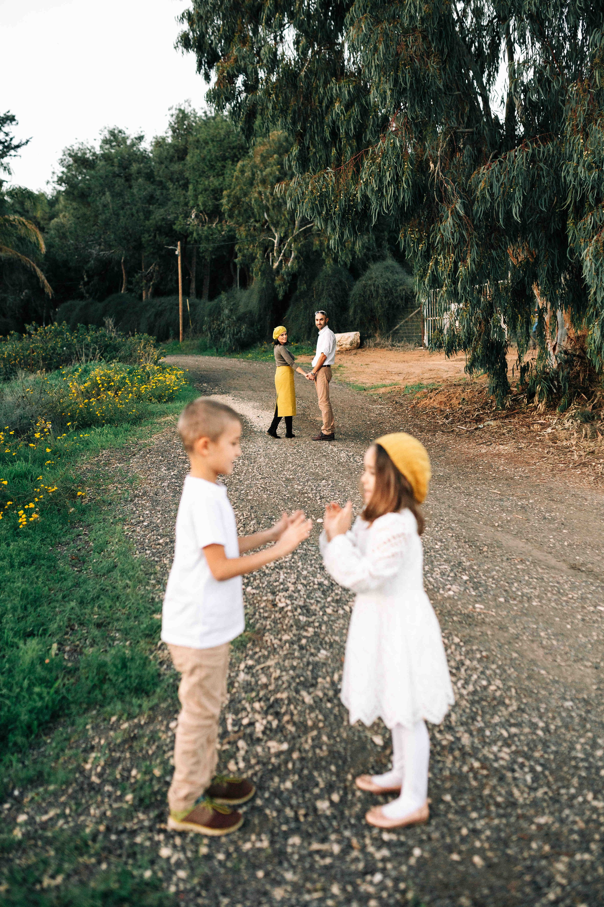 MANDARNINE GARDEN. Https://shi-photo.com/