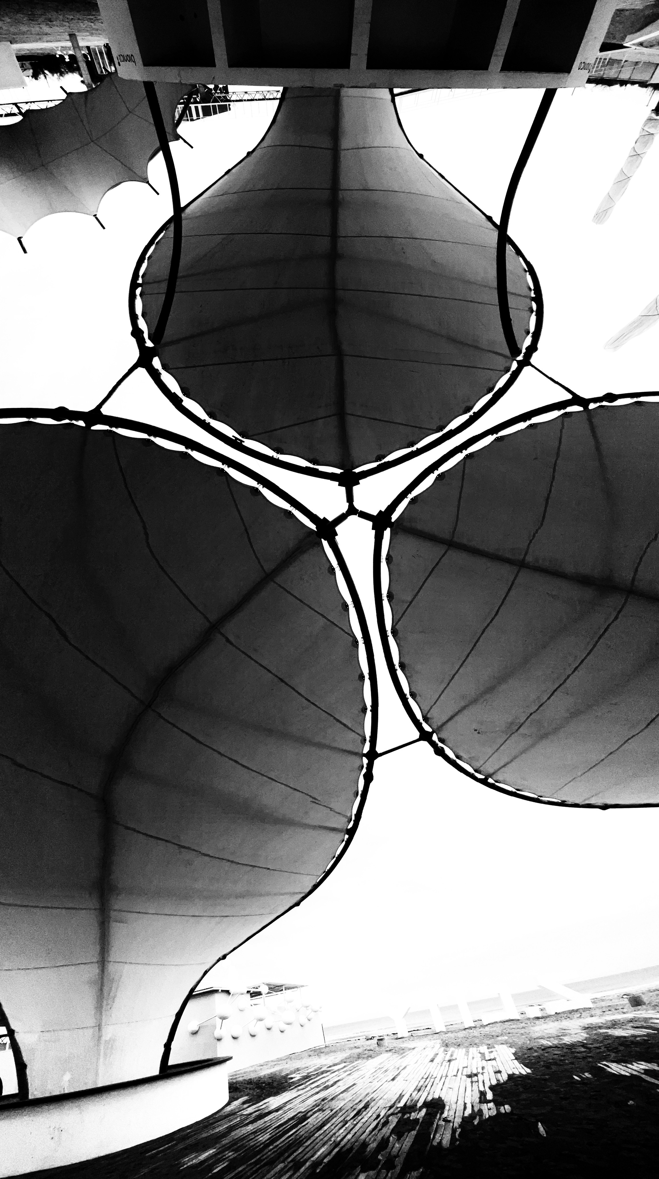 B&W Street slyle. Ekaterina Verbitskaya. Photography