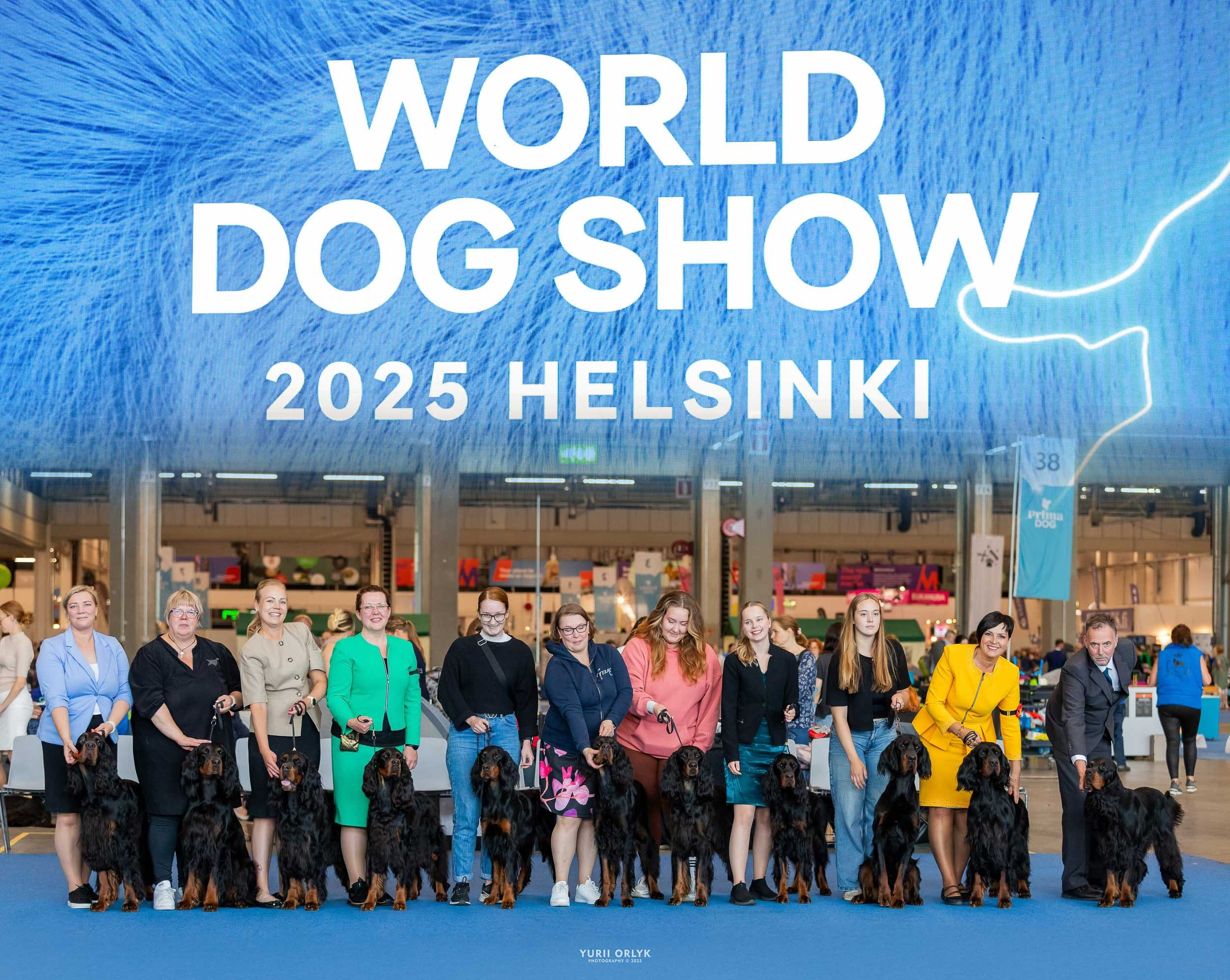 Dog Shows. Yurii Orlyk Photography
