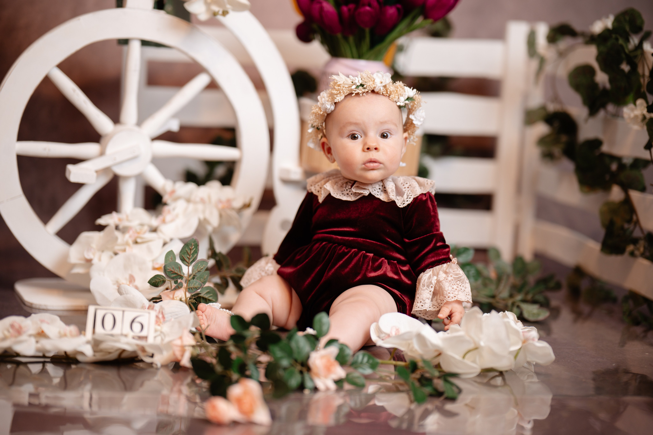 Anniversary/Family. EVA Photography