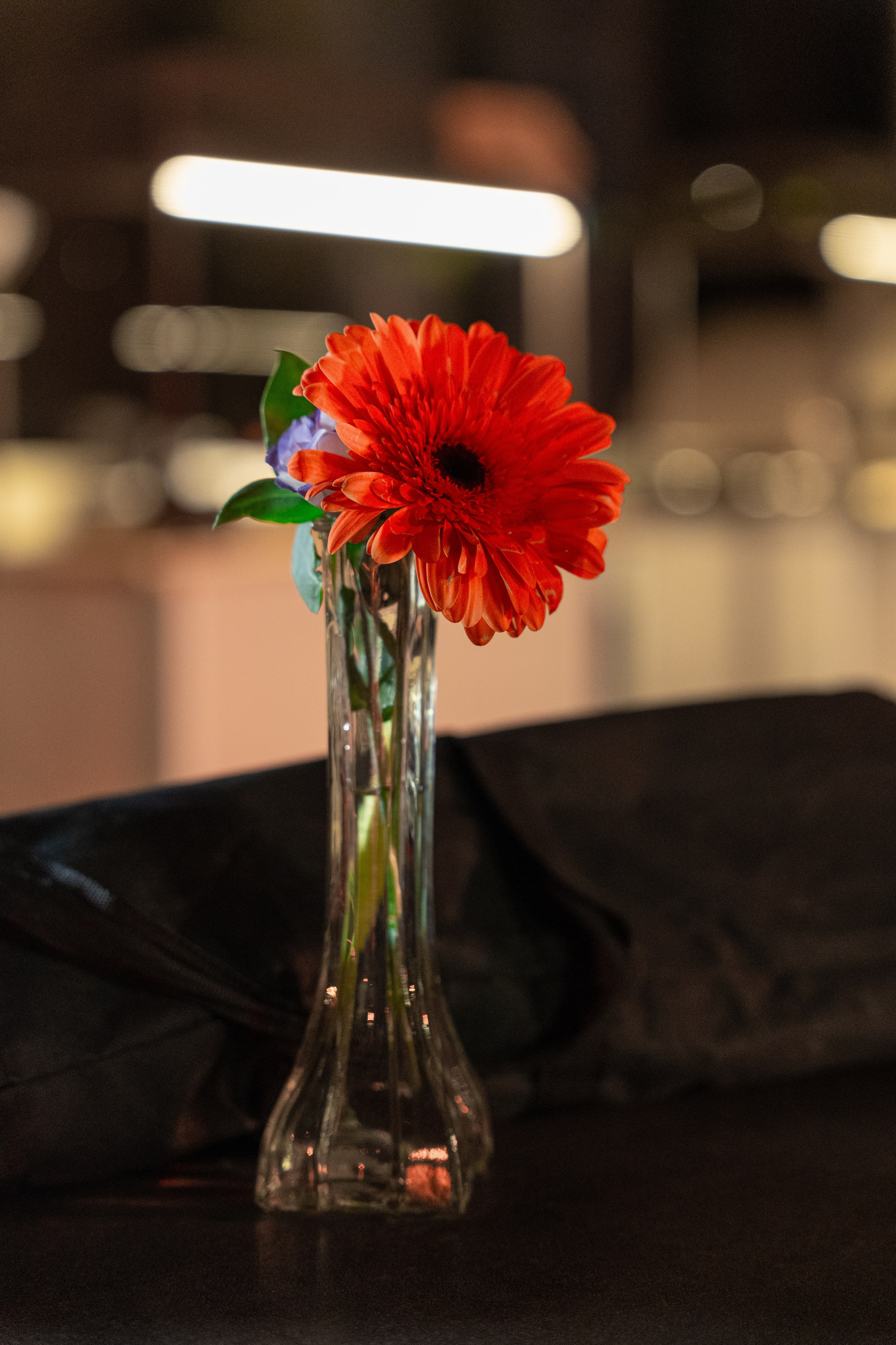 Wedding of Hila & Elad