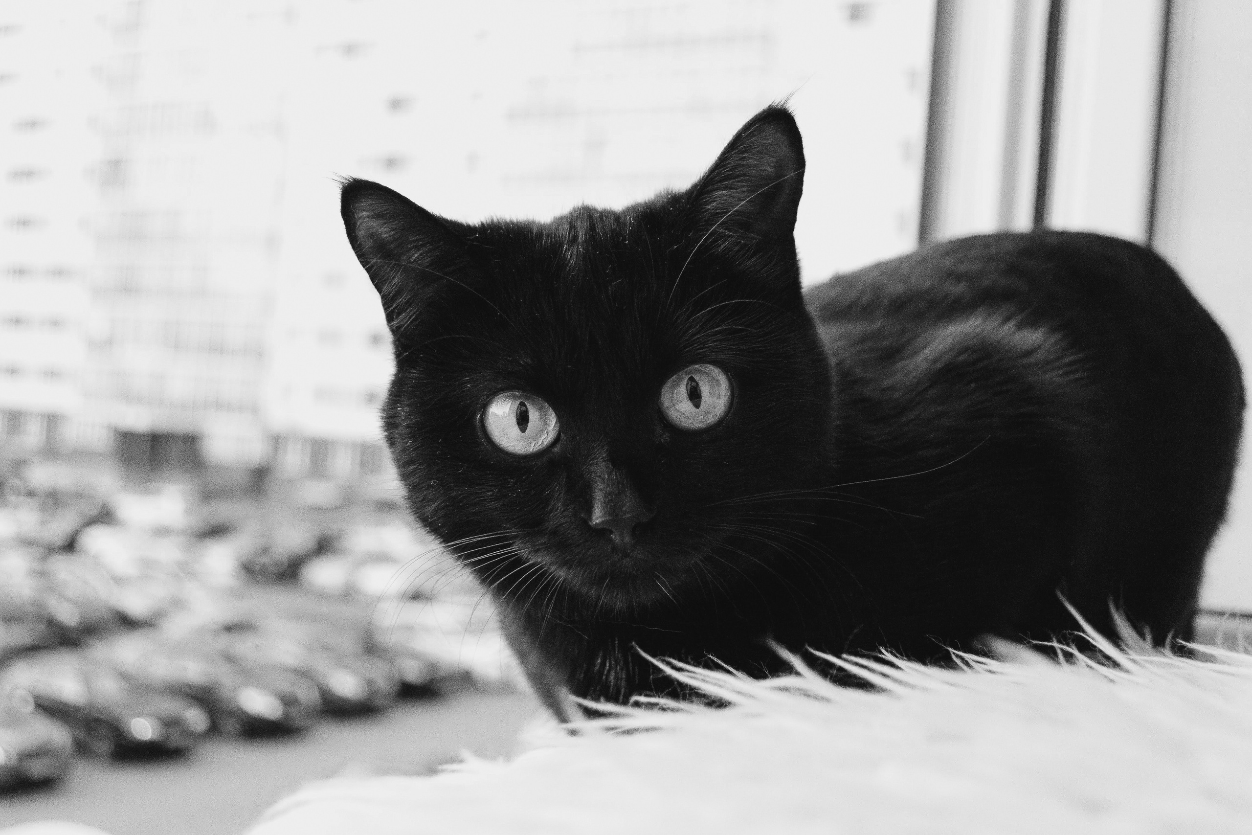 Работы учеников. Фотограф и преподаватель фотографии в Белграде