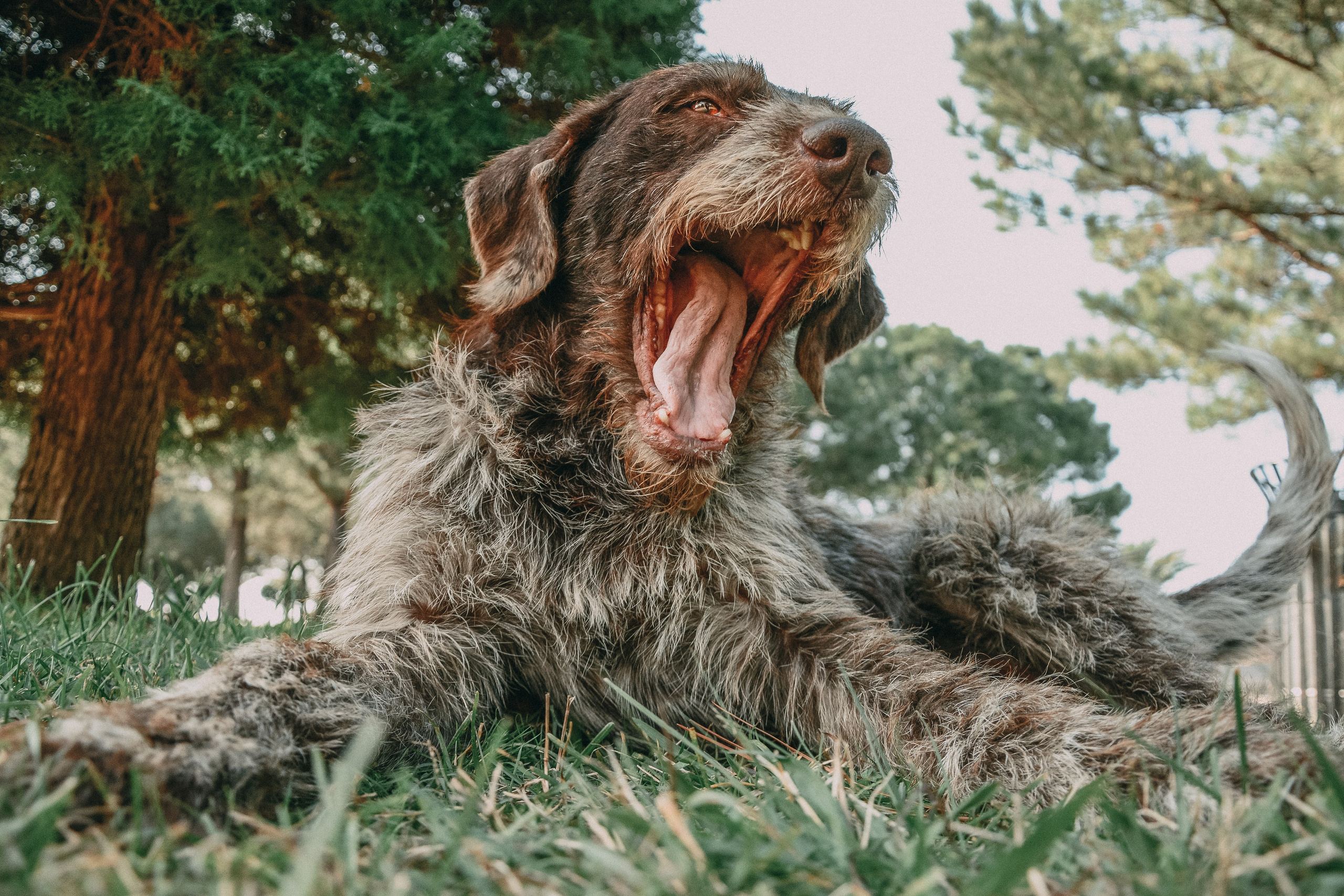 Работы учеников. Фотограф и преподаватель фотографии в Белграде