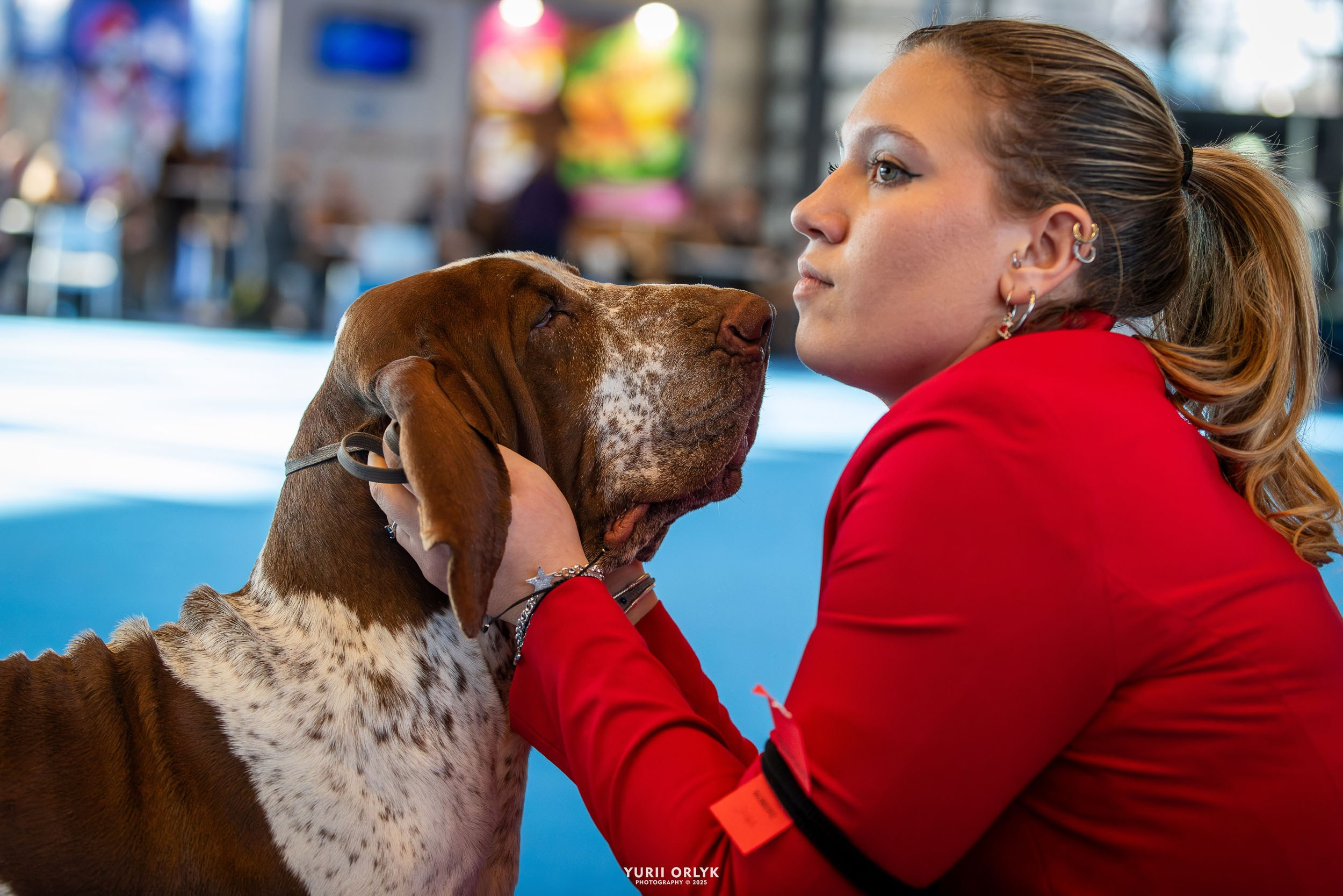 Dog Shows. Yurii Orlyk Photography