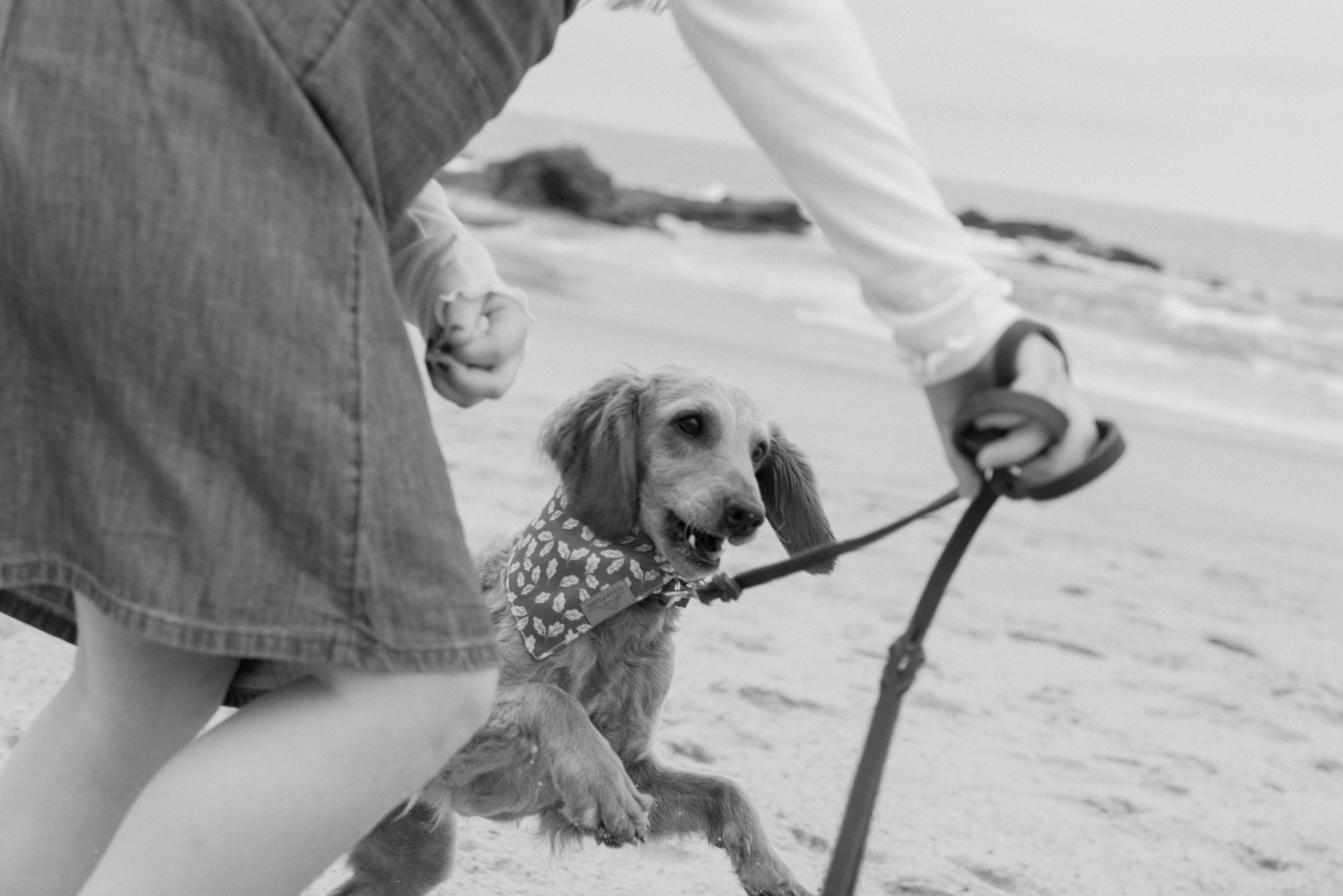 Lori — Where Family Feels Like Home. Portrait, family, maternity & wedding photography & videography in SoCal Kseni Vibe/Weddings by KArt