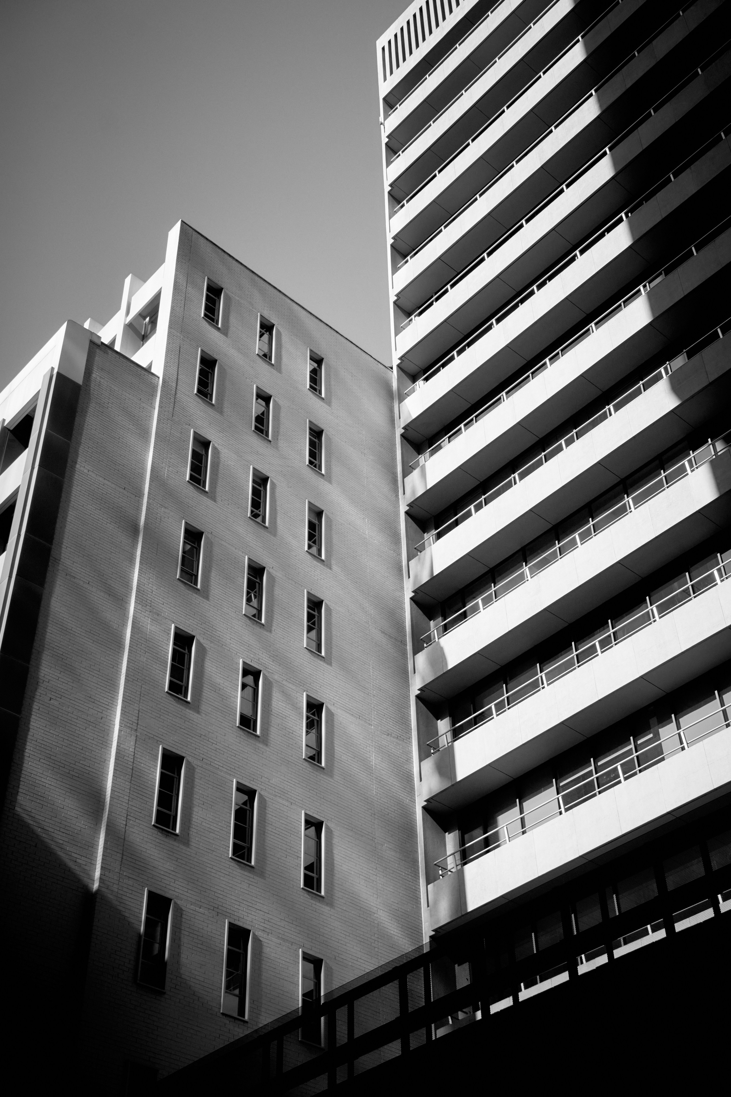 Melbourne Street Photography 2025. CARTER BNW