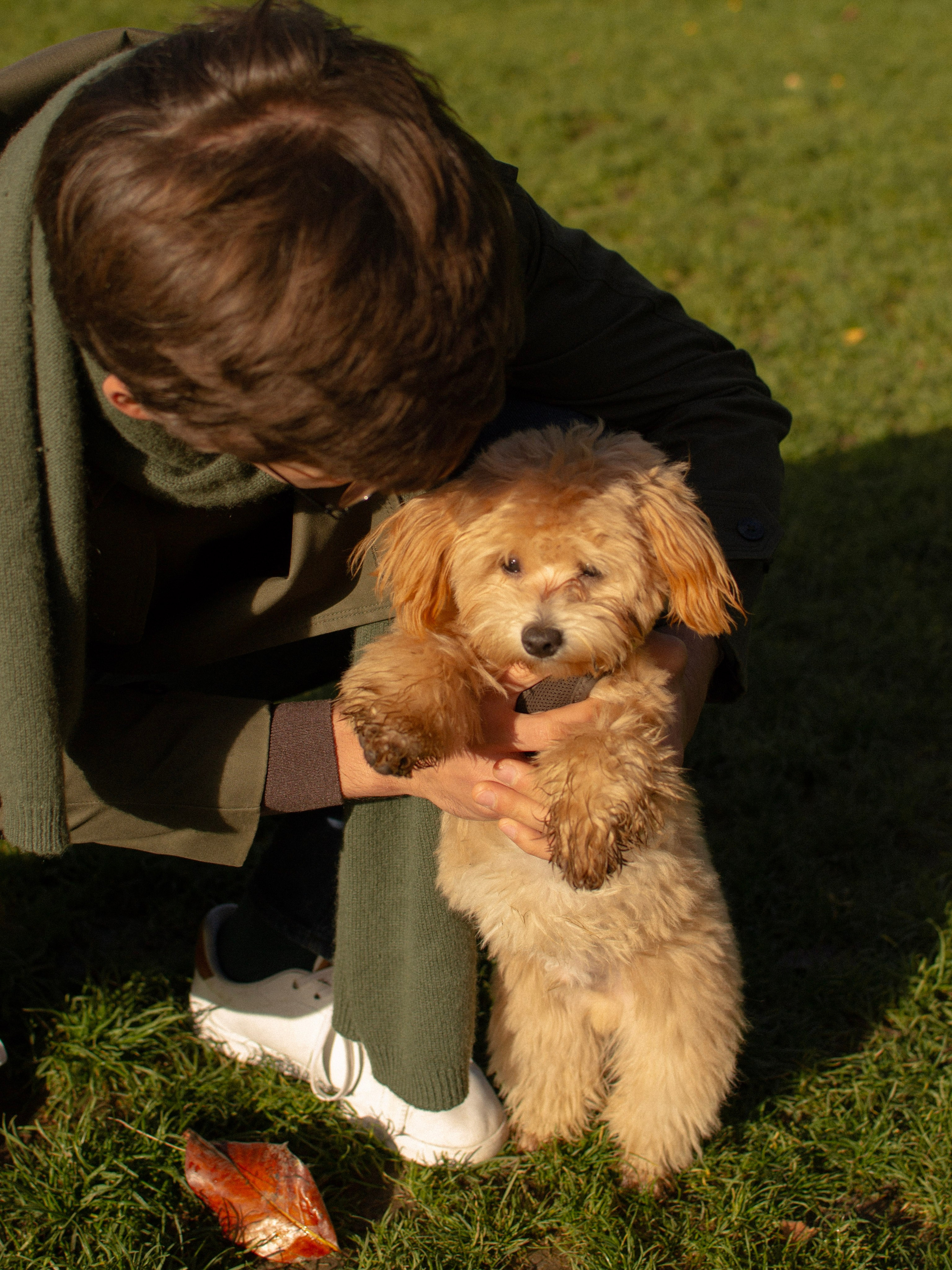 Barney, Nastya et Kolya. Photographe animalier à Paris Anna Pereira