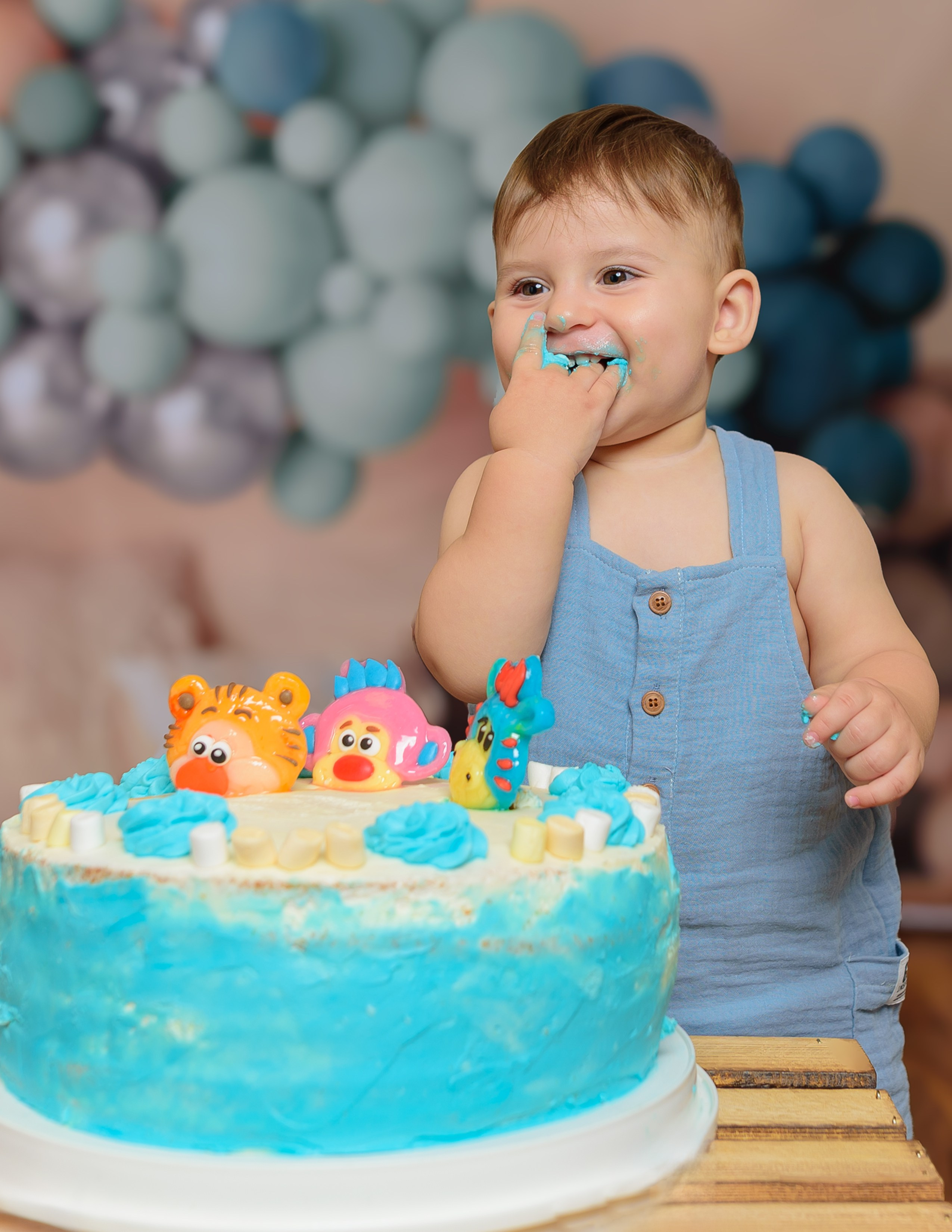 Smash Cake. Klausenburg Photography