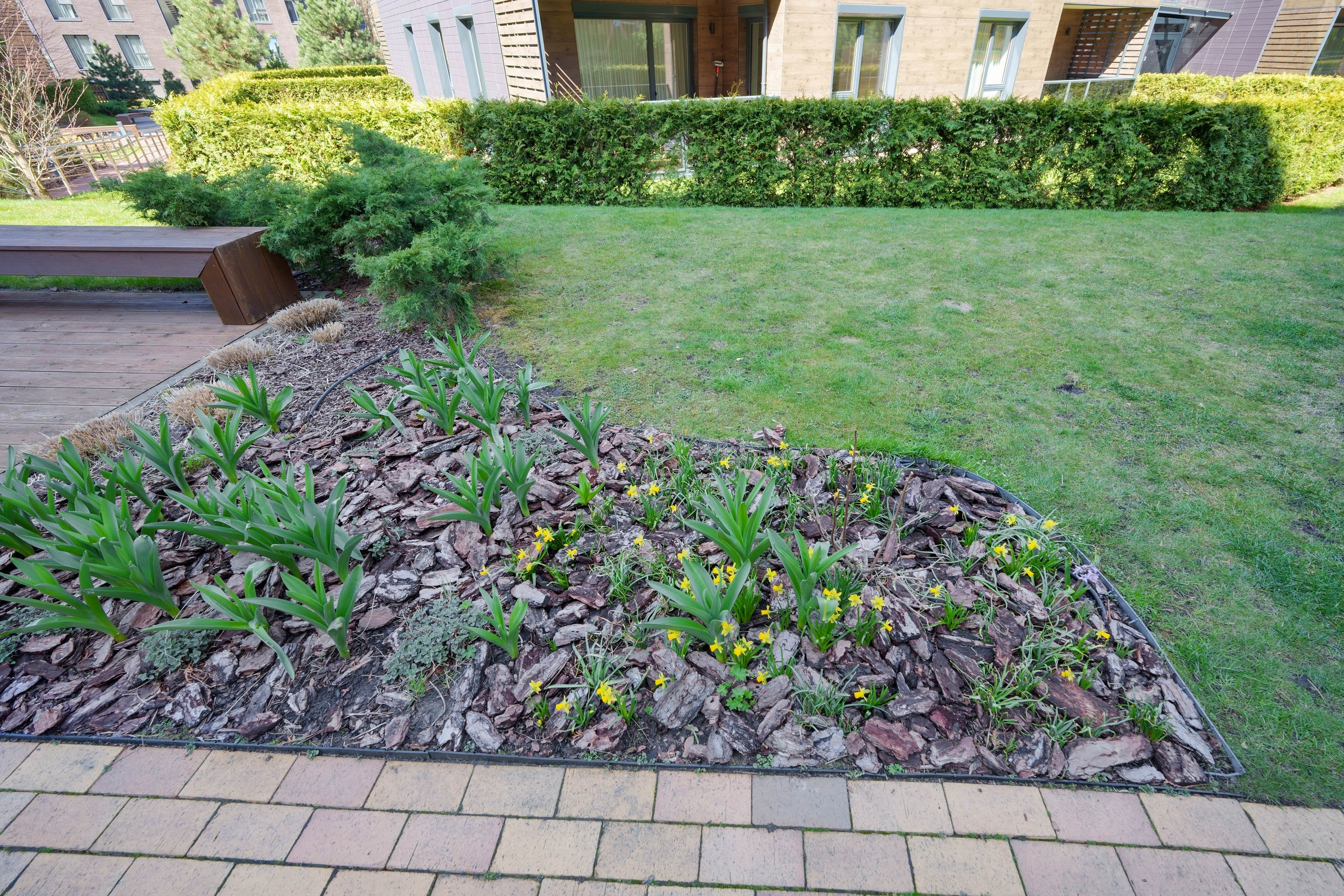 Zalakevičiaus g. 21. Elina Sapiega fotografė Vilniuje