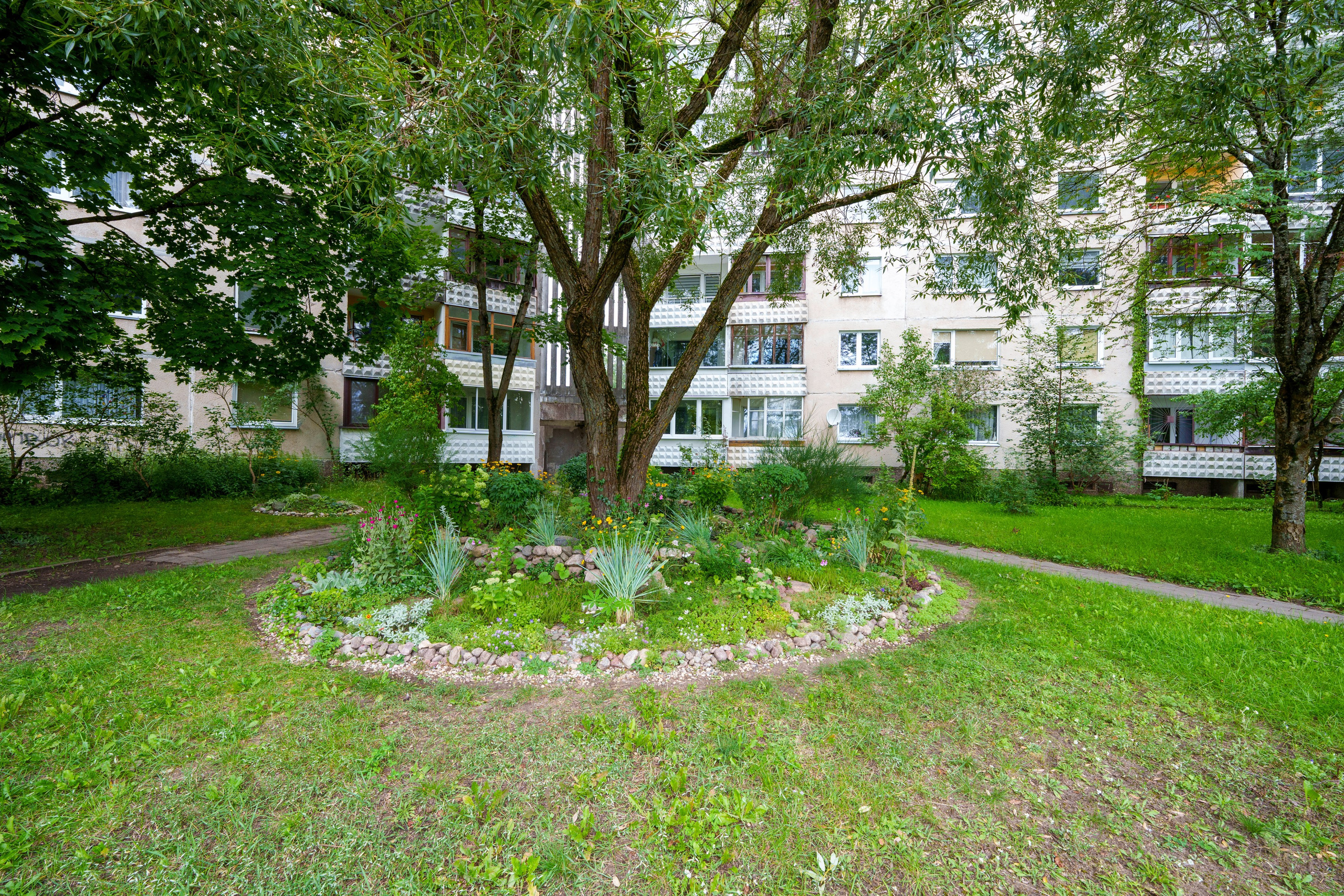 Viršuliškių g.28. Elina Sapiega fotografė Vilniuje