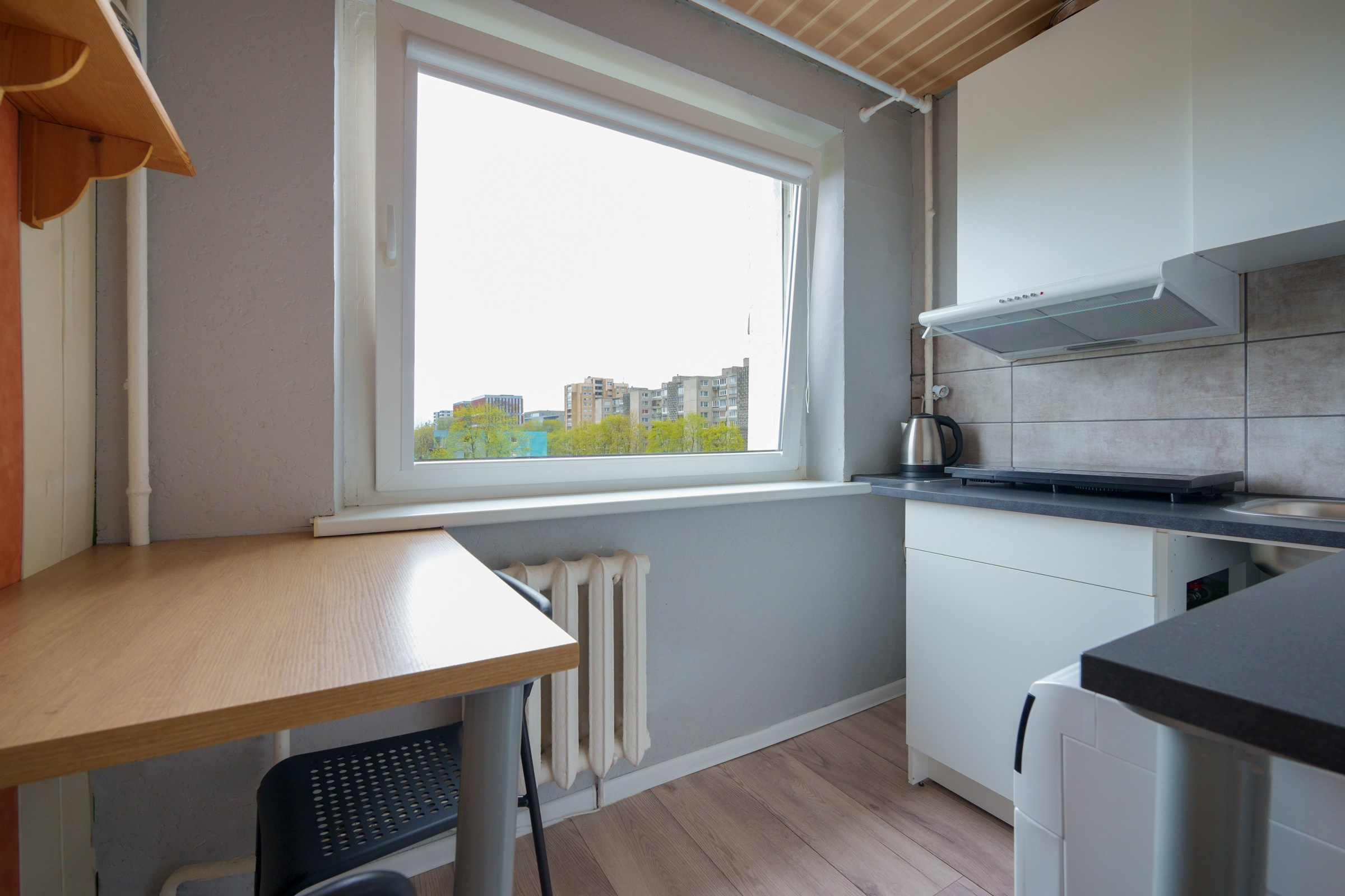 Savanorių g. 33. Elina Sapiega fotografė Vilniuje